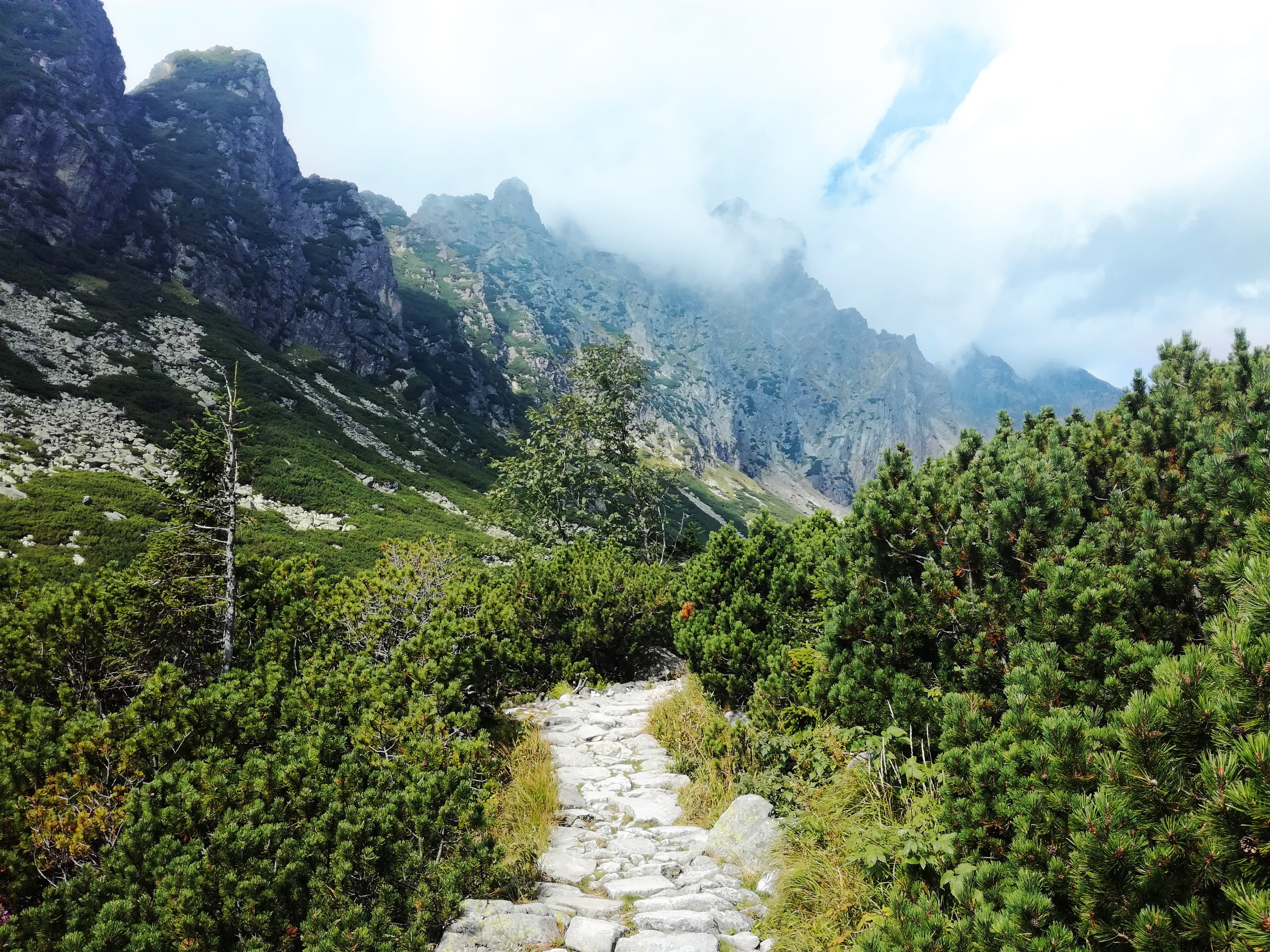 sky, growth, panorama, tatras, slovakia, rock, landscape, 4K, green color, land, environment, tree, flowing, view, non-urban scene, tranquil scene, tranquility, HD Wallpaper