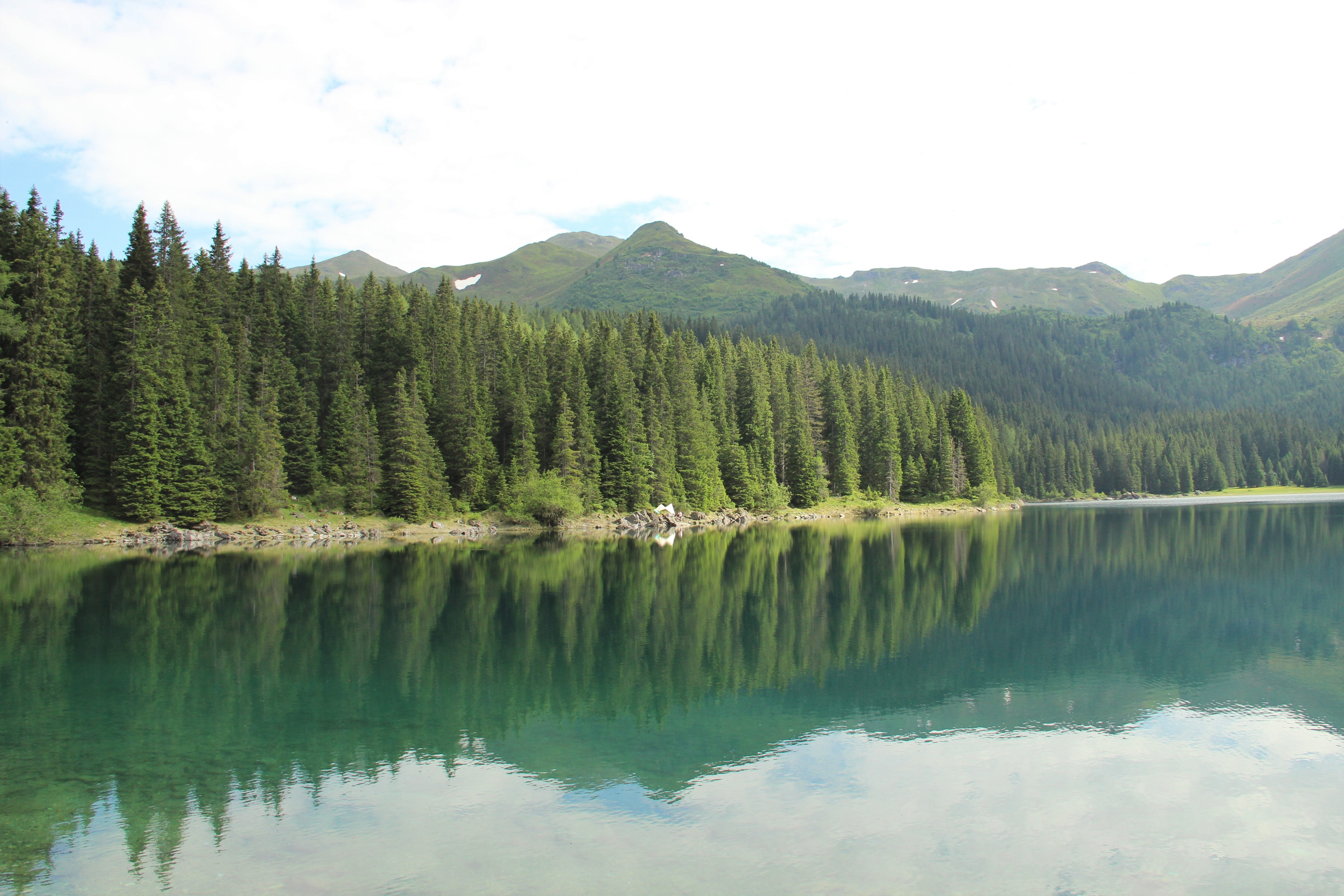 growth, beauty in nature, no people, water, austria, outdoors, country, non-urban scene, pleso, day, lake, nature, plant, idyllic, reflection lake, tree, HD Wallpaper