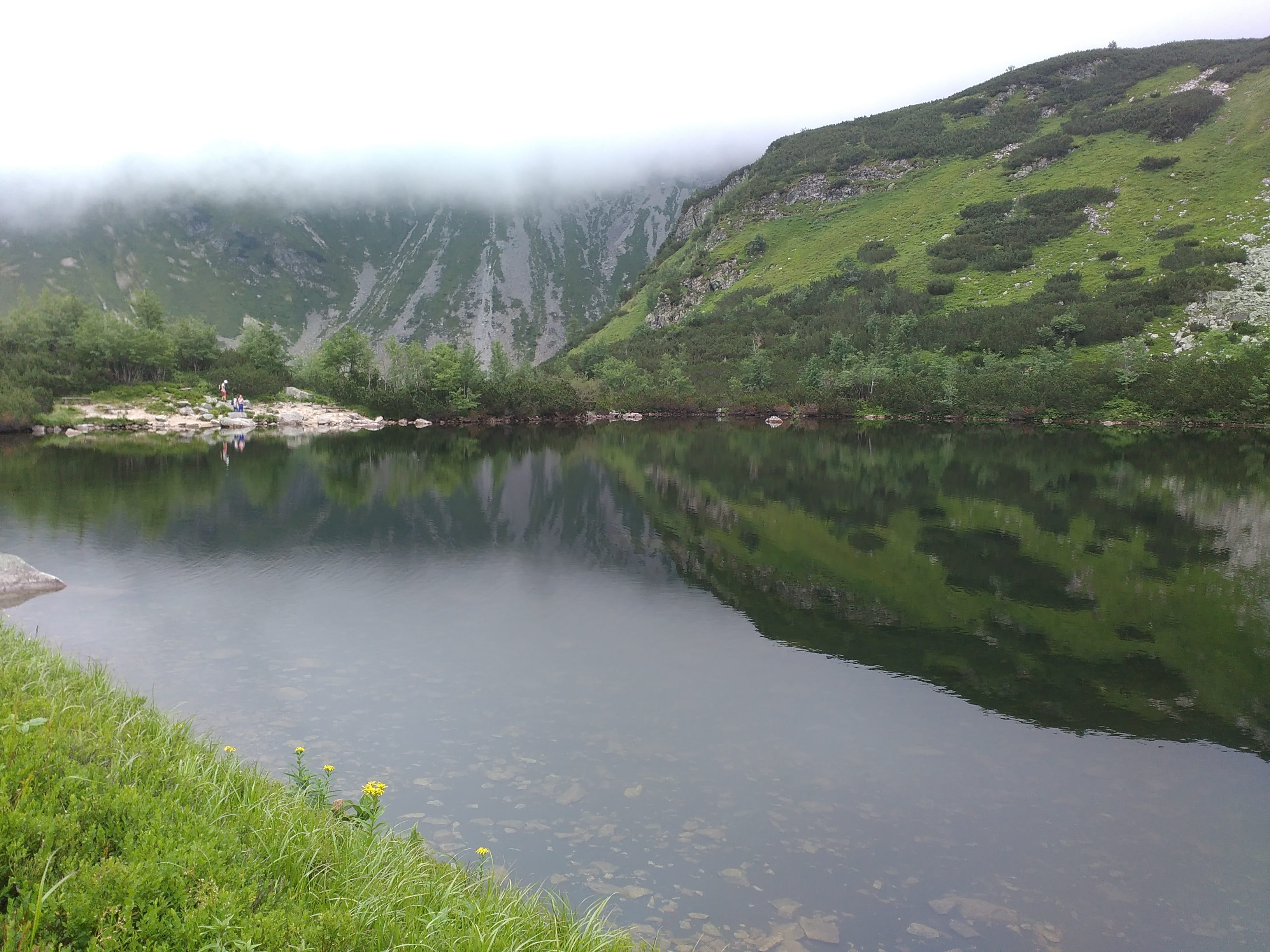 environment, tranquility, tree, no people, rocks, outdoors, mountain, reflection, idyllic, mountains, fog, non-urban scene, scenery, growth, green color, HD Wallpaper