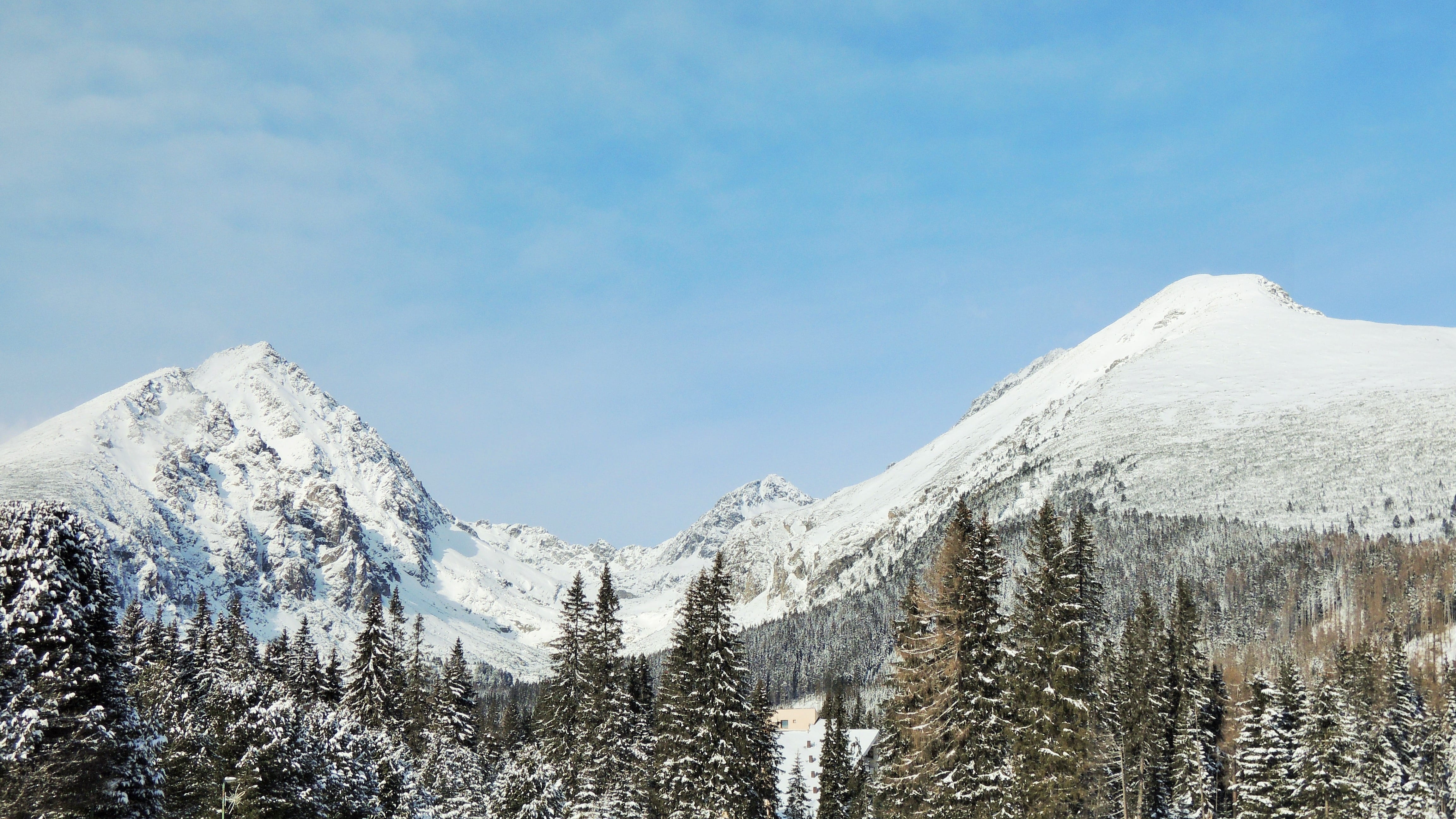 environment, no People, nature, pine tree, forest, coniferous tree, cold temperature, land, Mountains, plant, view, cloud - sky, day, white, winter, Pleso, HD Wallpaper