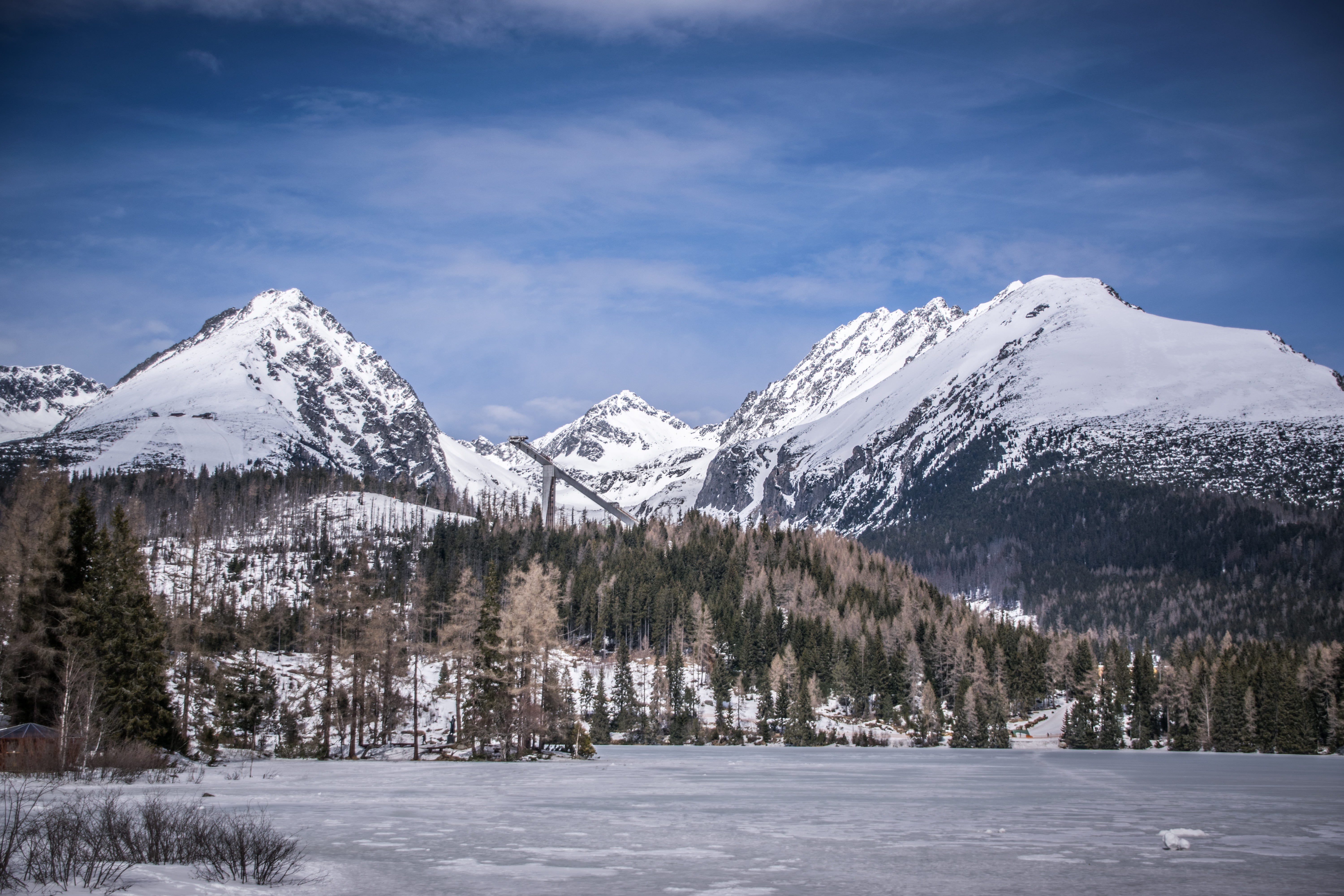 tranquility, coniferous tree, 5K, no people, pine tree, beauty in nature, landscape, combs, cloud - sky, mountain range, winter, nature, sky, panorama, HD Wallpaper