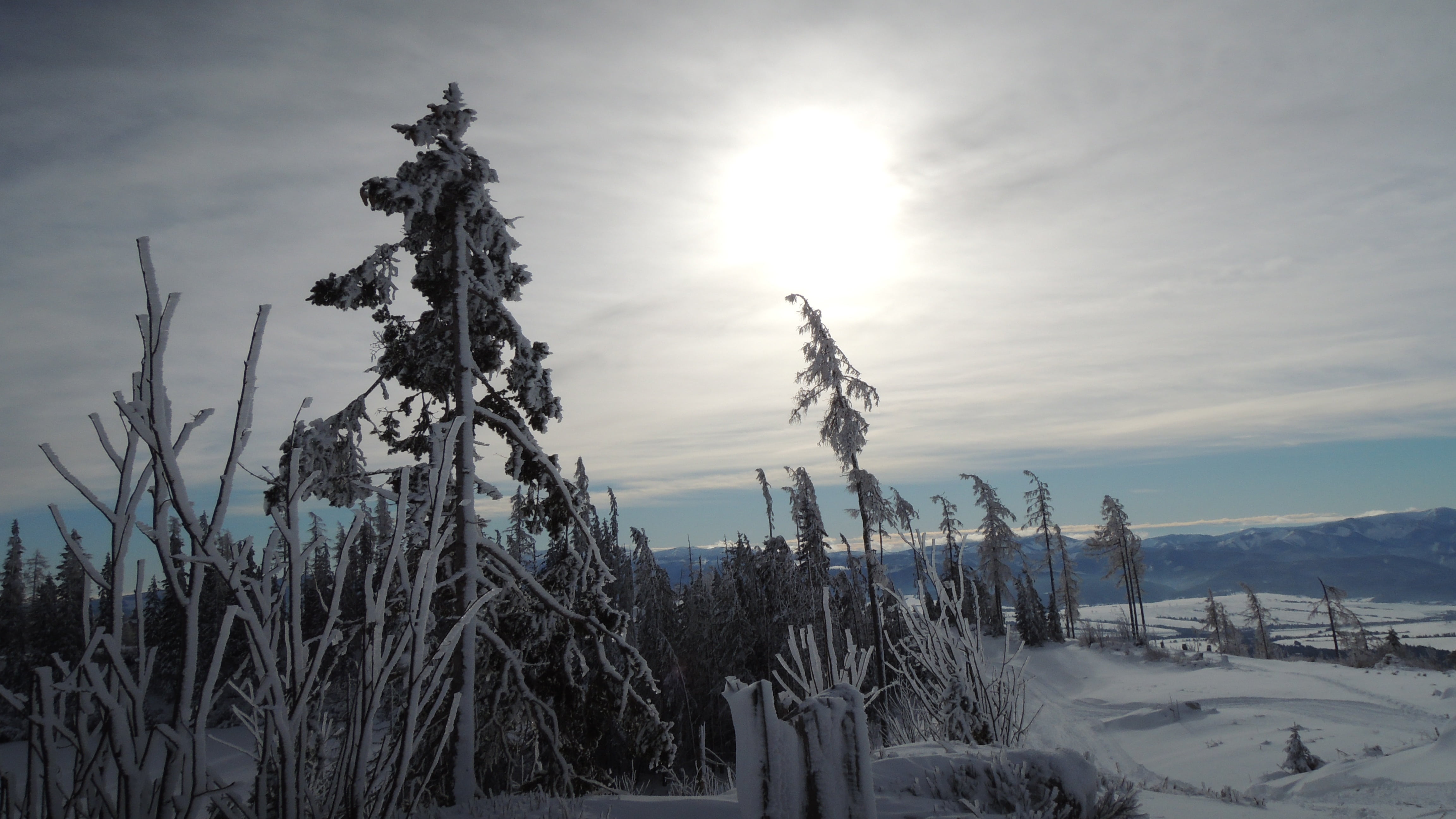 landscape, sun, nature, scenics - nature, winter, beauty in nature, slovakia, no people, 4K, high tatras, tranquility, snow, tree, sky, cloud - sky, pleso, HD Wallpaper