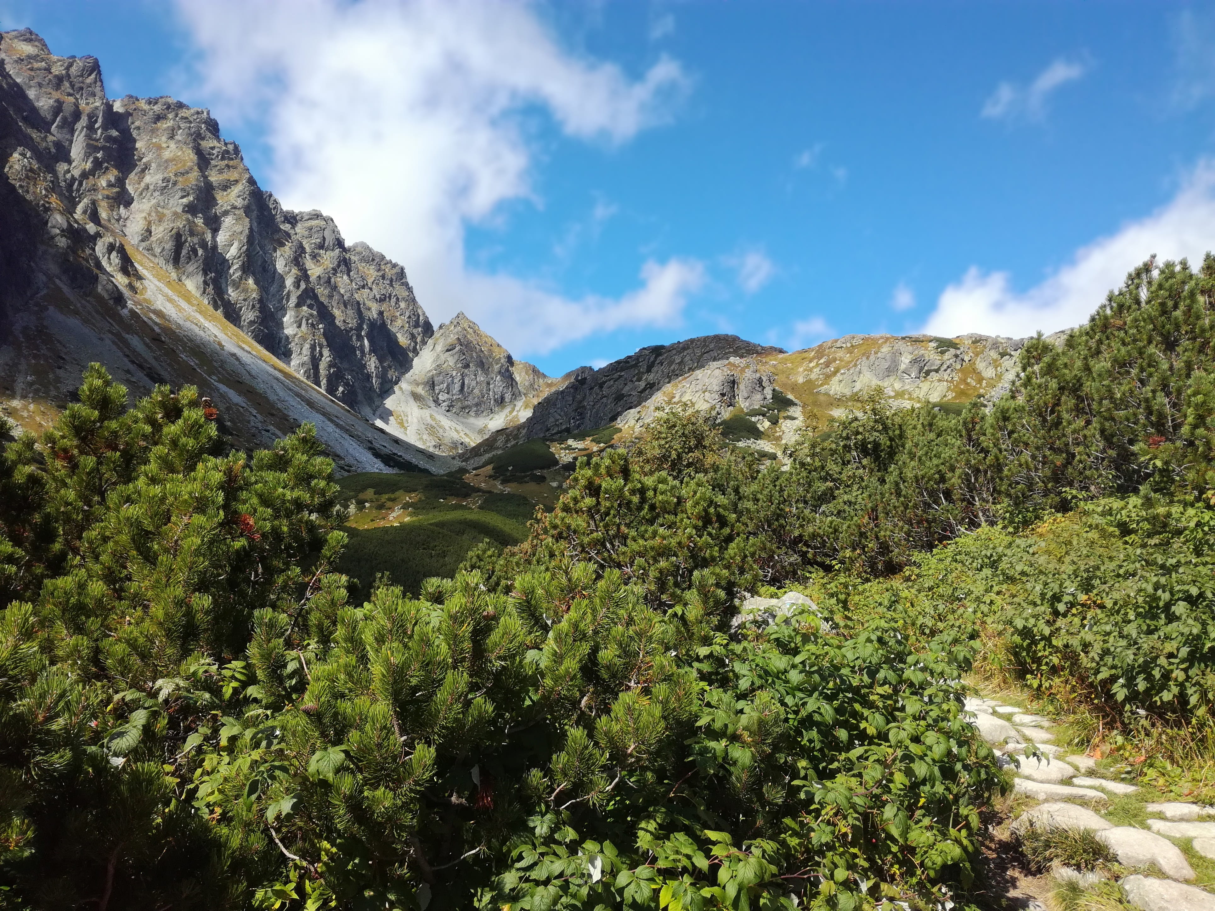 mountain peak, idyllic, panorama, tree, environment, mountain, mountain range, tatras, view, travel, pleso, tranquil scene, lake, 4K, nature, mountains, HD Wallpaper