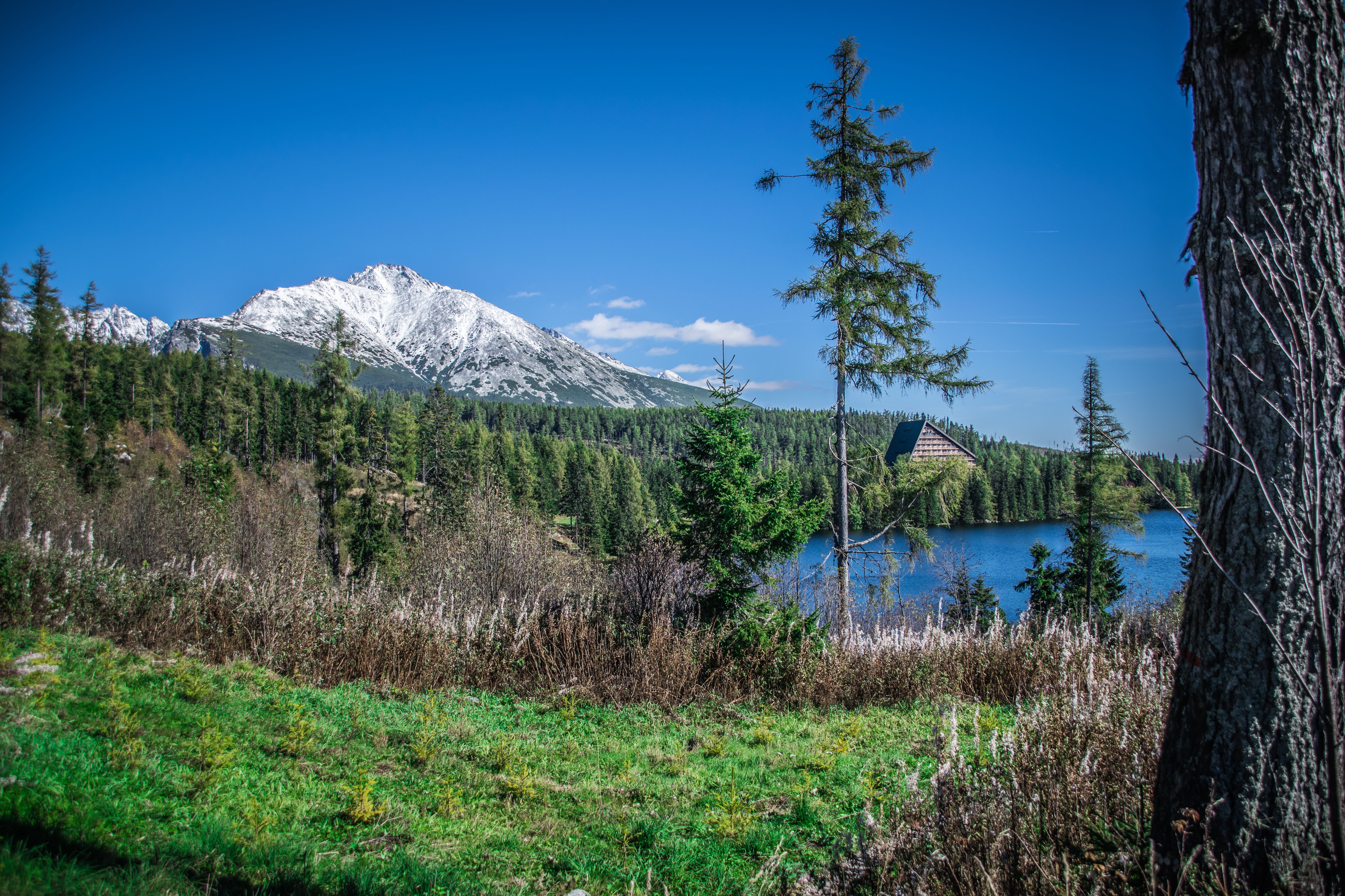 mountains, panorama, tranquil scene, land, water, mountain peak, tatras, sky, peace, lake, no people, grass, scenics - nature, plant, mountain, non-urban scene, HD Wallpaper