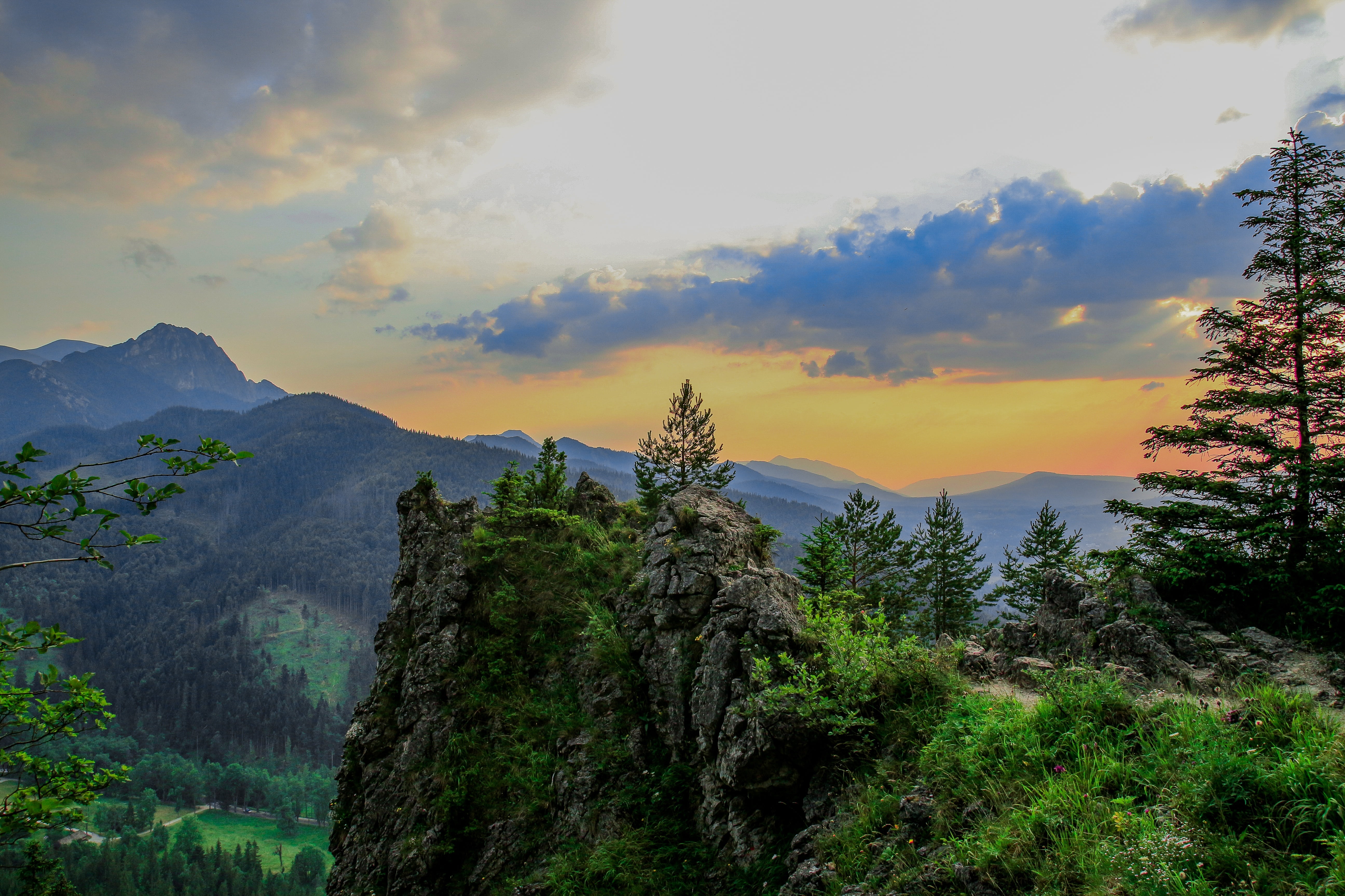environment, scenics, beauty in nature, mountain range, idyllic, mountain peak, tatry, growth, no people, coniferous tree, west, tree, tranquility, nature, HD Wallpaper