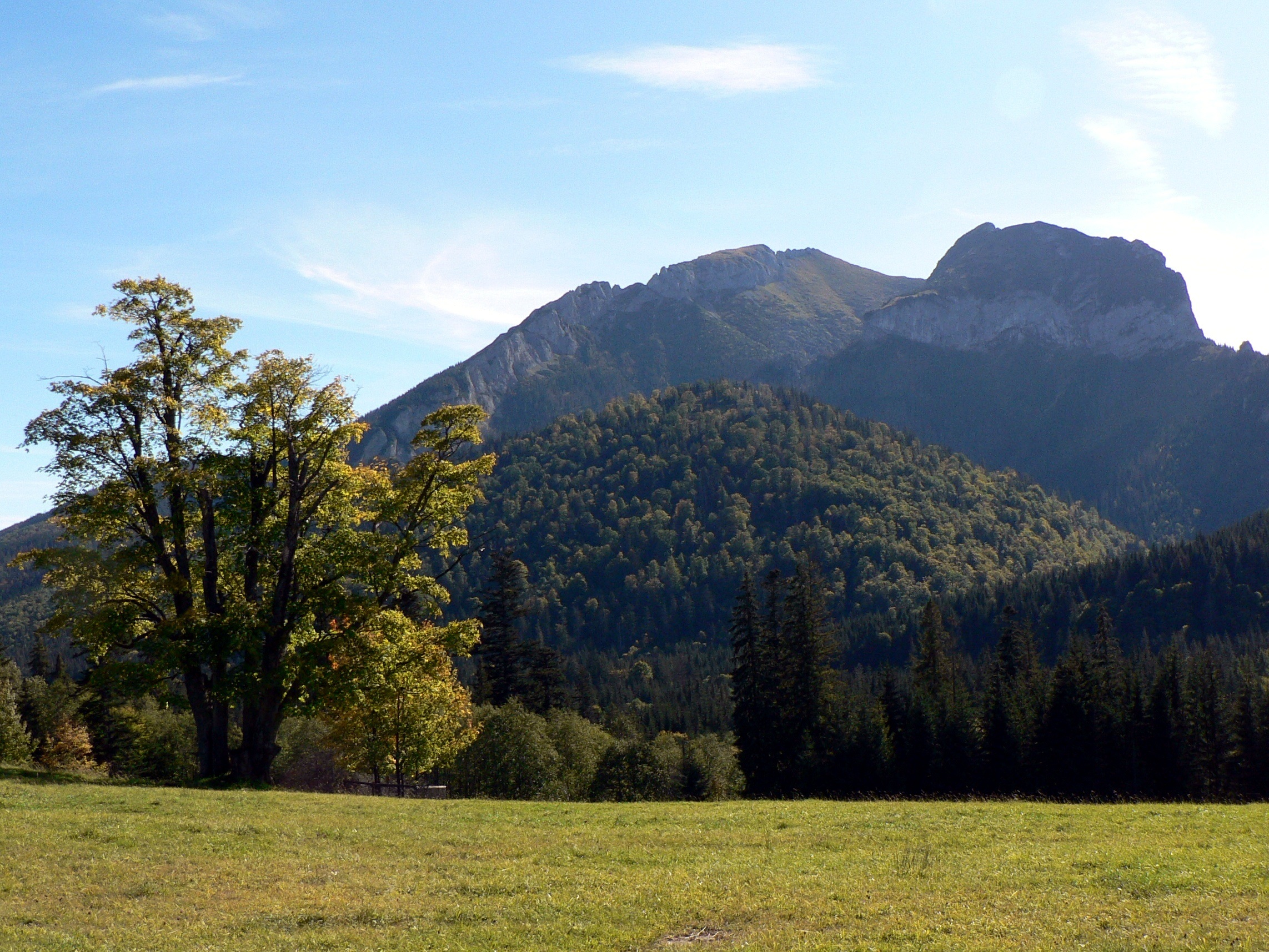 idyllic, green color, non-urban scene, tree, mountains, tranquility, growth, land, outdoors, grass, sky, beauty in nature, belianske tatry, cloud - sky, HD Wallpaper