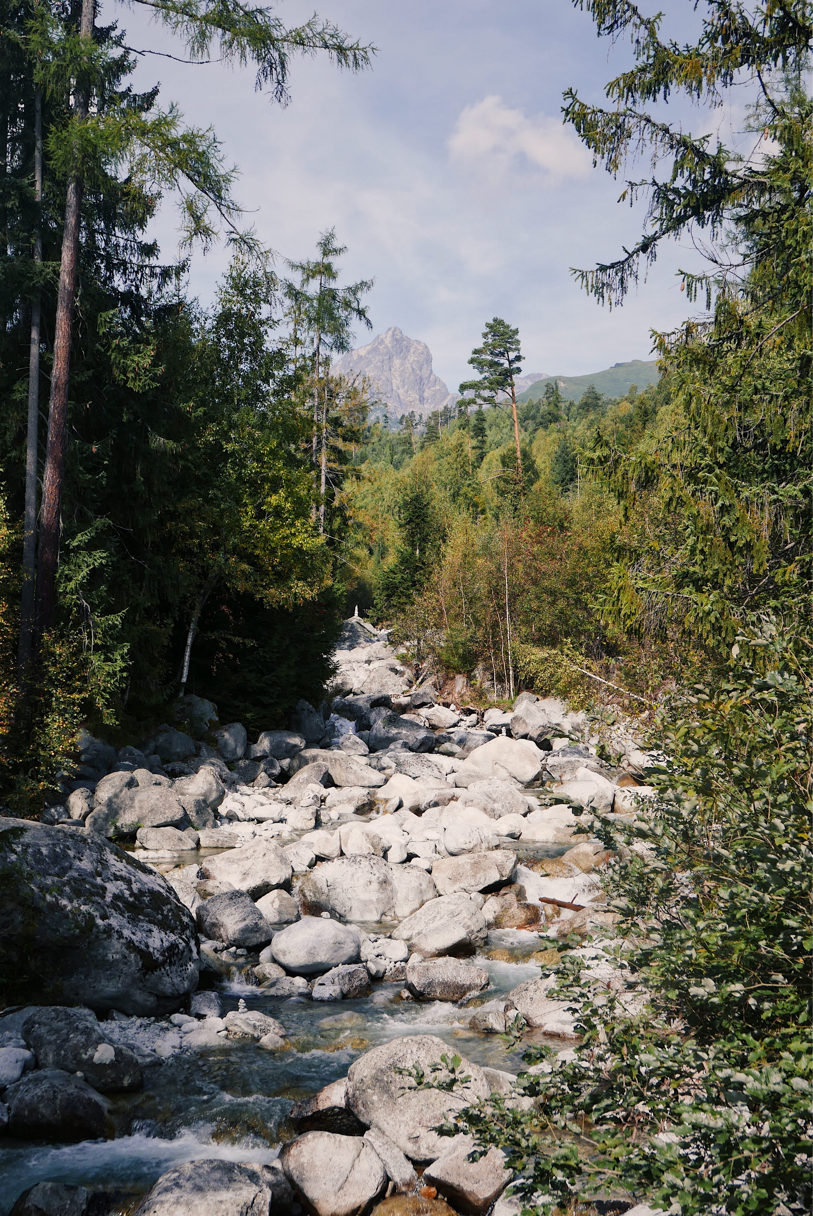flowing, day, non-urban scene, tranquil scene, solid, nature, beauty in nature, forest, environment, tree, growth, vysoké tatry, cloud - sky, sky, no people, Phone HD Wallpaper
