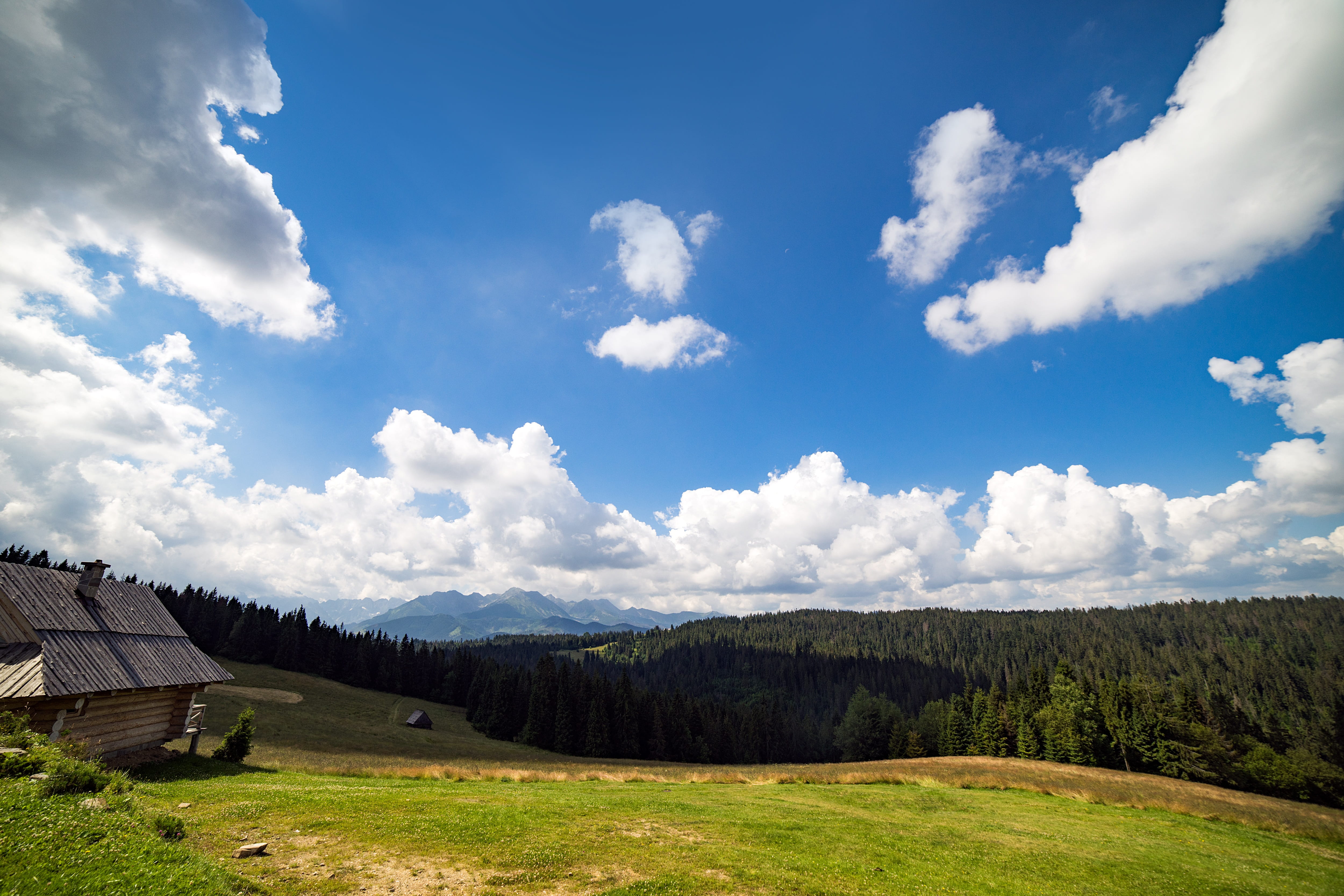 light, polish, architecture, summer, tree, tourism, meadow, plant, europe, hiking, hut, land, rural scene, mountain, mountain range, vibrant, fresh, outdoors, HD Wallpaper