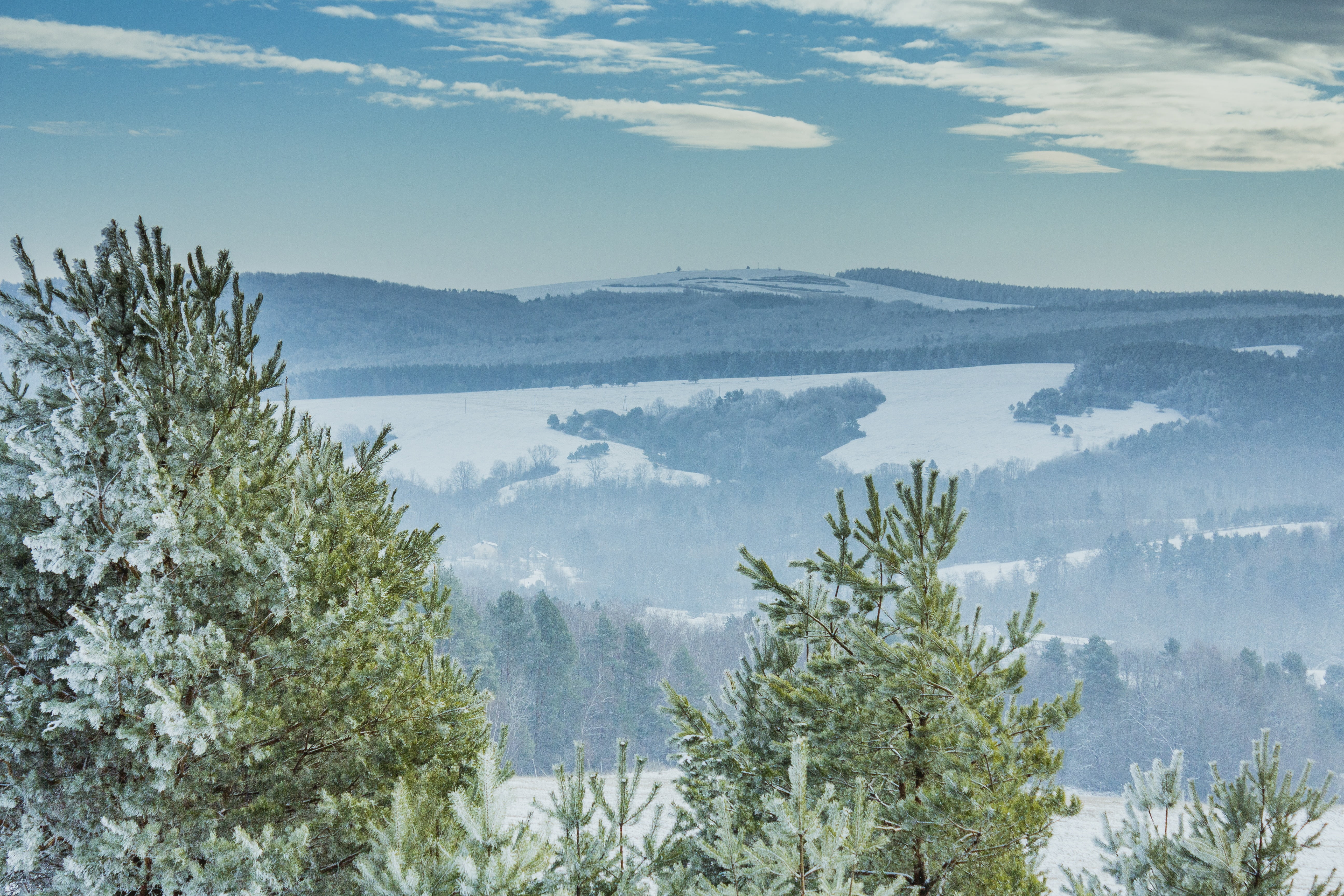pine tree, day, mountain range, karpaty, green color, mountain, non-urban scene, landscape, beautiful landscape, mountains, plant, tranquility, environment, HD Wallpaper