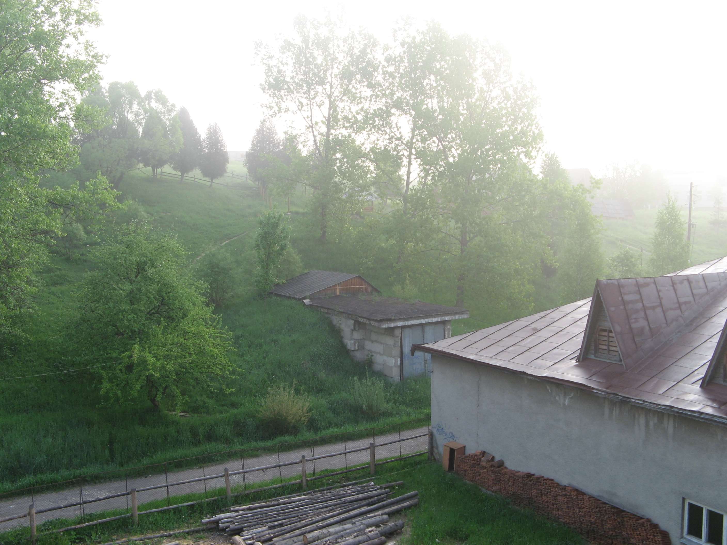 house, railroad track, nature, karpaty, built structure, forest, day, rail transportation, building exterior, architecture, land, fog, plant, 2K, bilding, HD Wallpaper