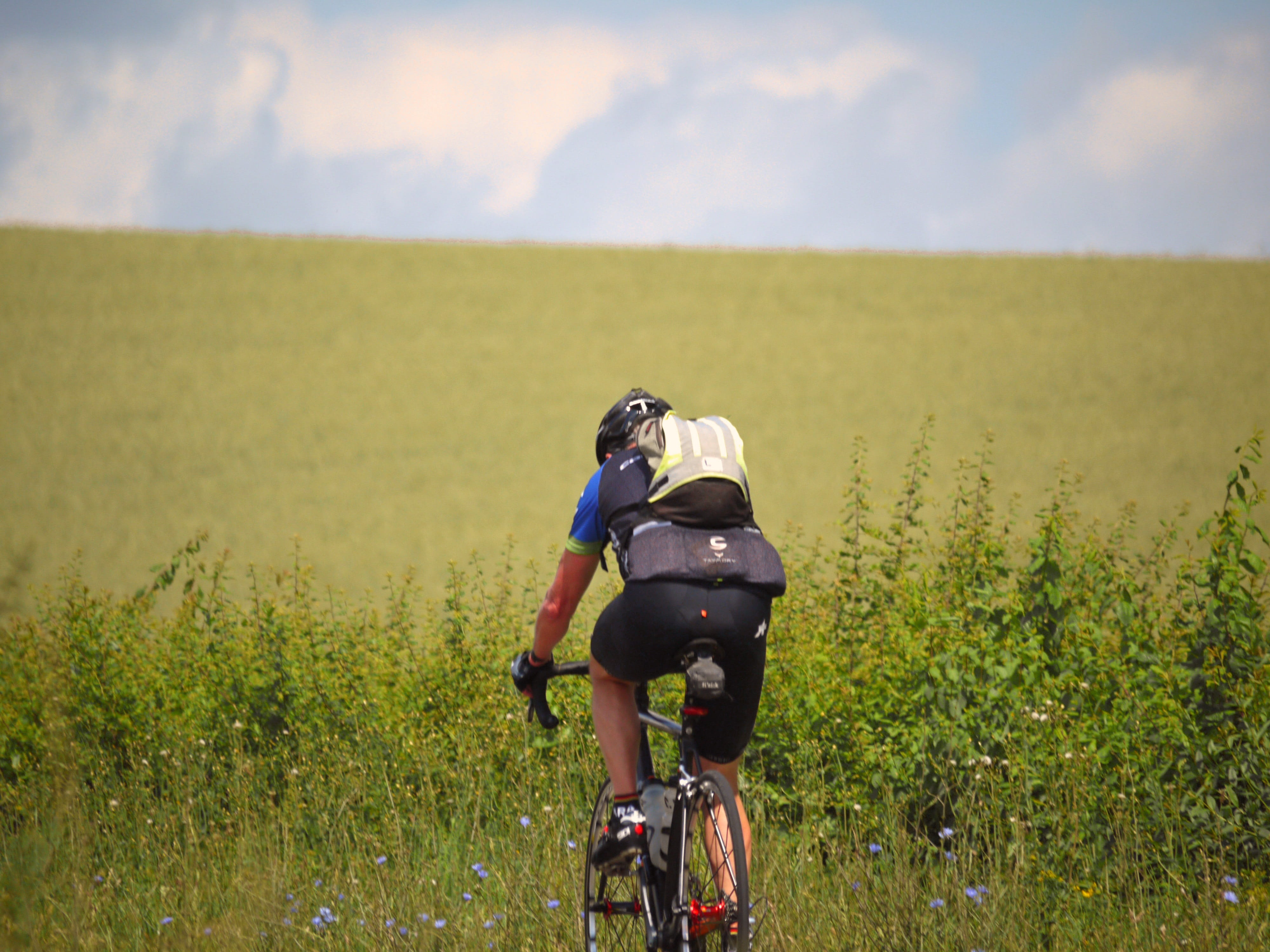bike ride, Training, spring, mode of transportation, land, Cyclists, in the, road, speed, people, out, plant, cloud - sky, backpack, recovery, equipment, HD Wallpaper