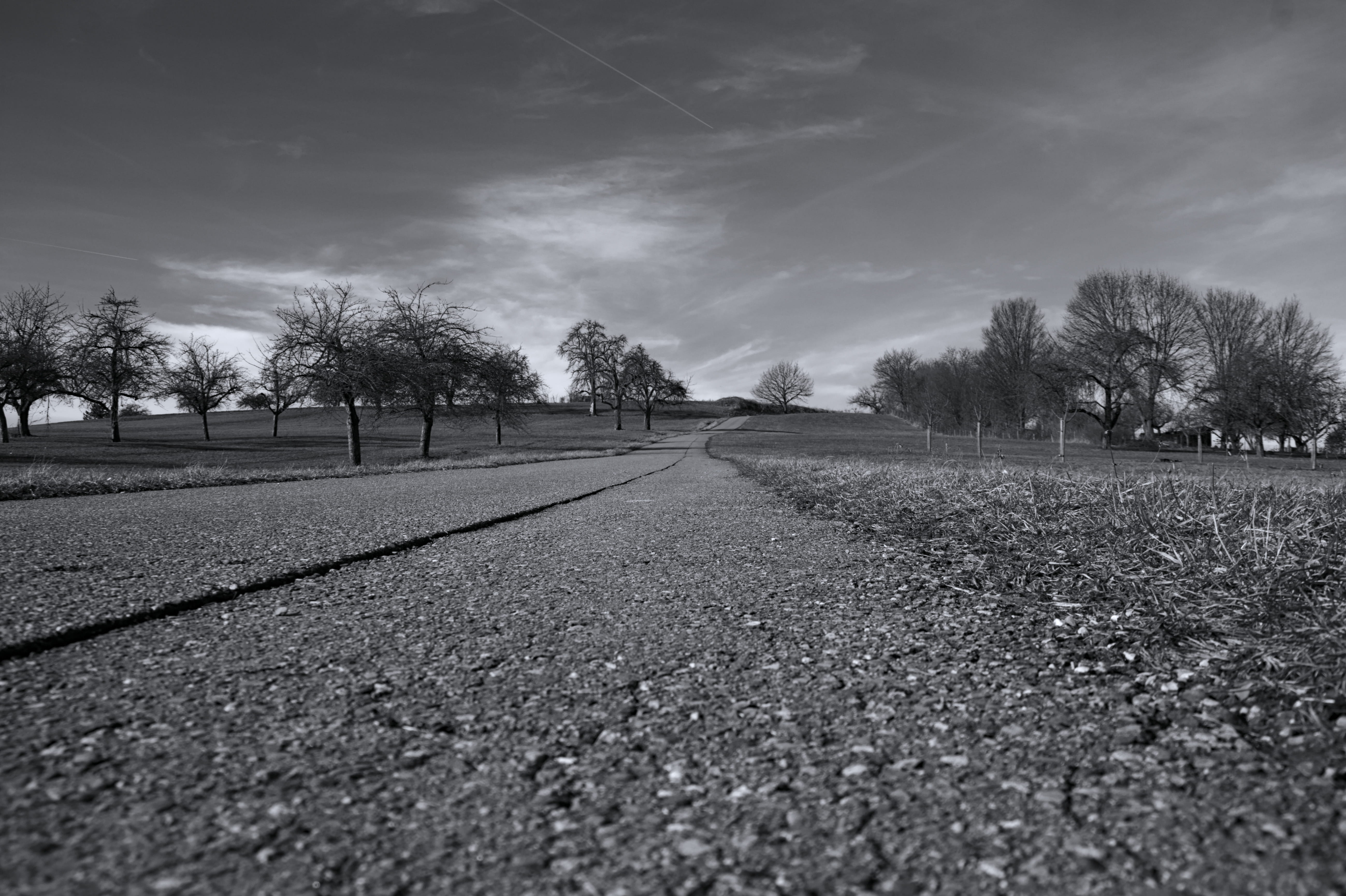 landscape, field, gravel, monochrome, vanishing point, dirt road, plant, no people, asphalt, environment, tranquil scene, tarmac, surface level, direction, HD Wallpaper