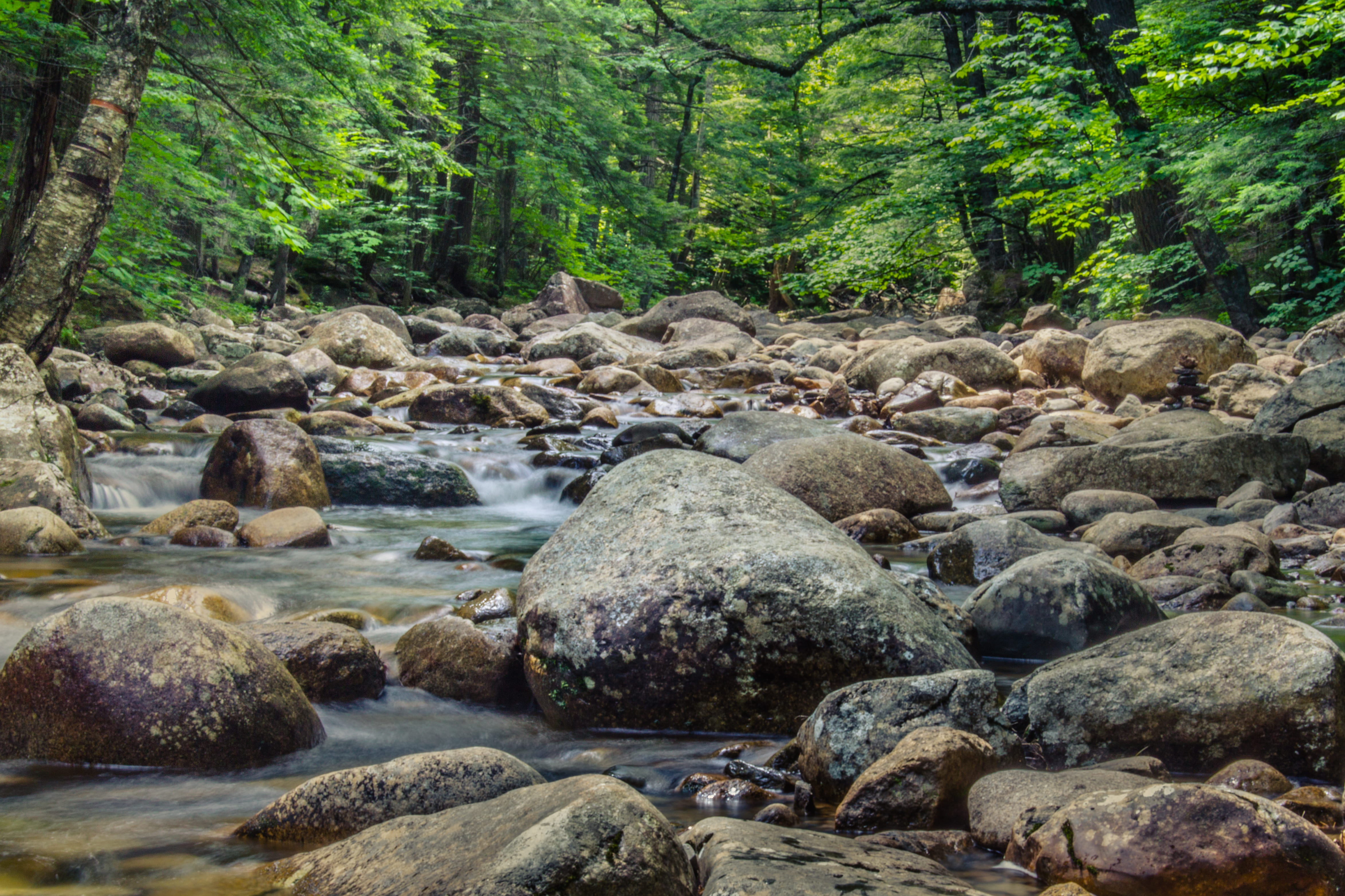 ground, non-urban scene, sun, scenics - nature, motion, plant, united states, light, flowing water, 4K, downhill, rock, tranquil scene, sunlight, solid, HD Wallpaper