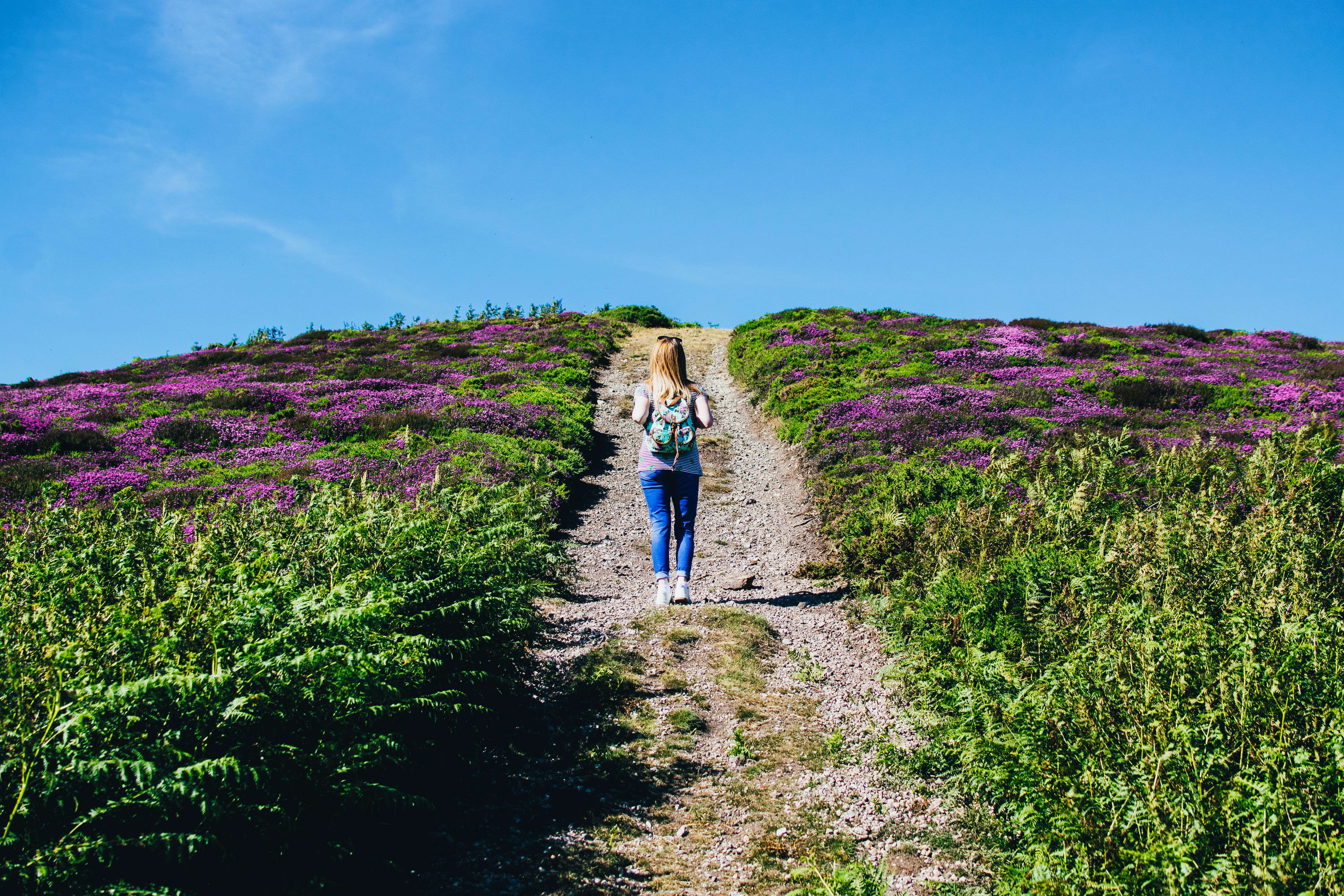 hill, leisure activity, nature, landscape, growth, 5K, beauty in nature, standing, backpack, day, flowers, flower, blond hair, scenic, lavander, field, HD Wallpaper