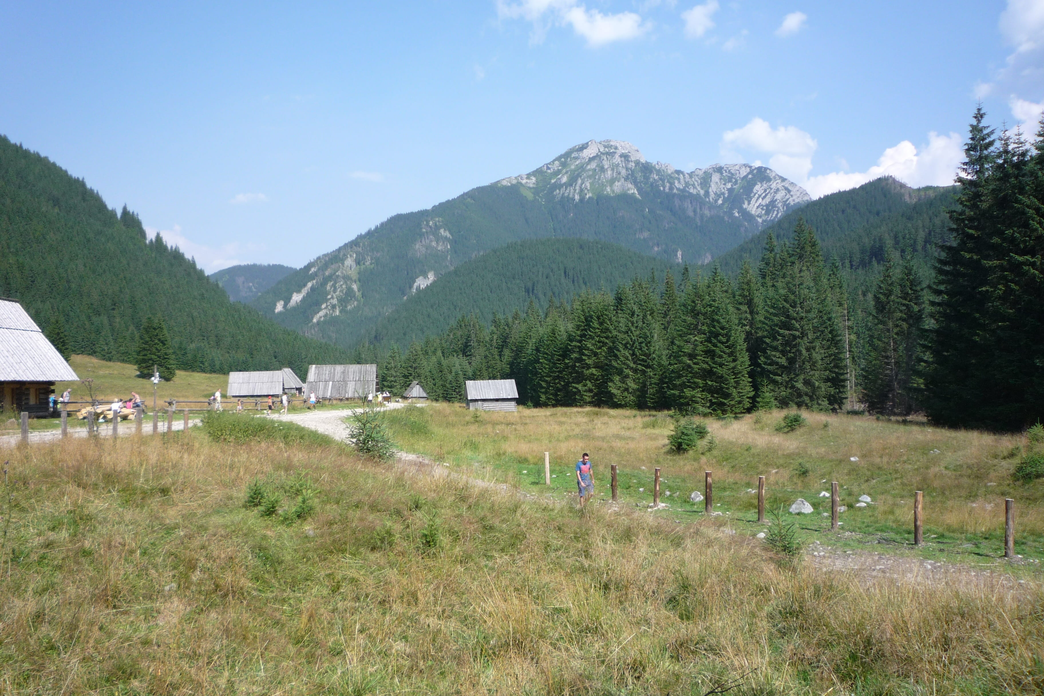 land, sky, view, tranquil scene, the path, polish tatras, top view, tourism, day, beauty in nature, field, growth, green color, tree, panorama, hiking trails, HD Wallpaper