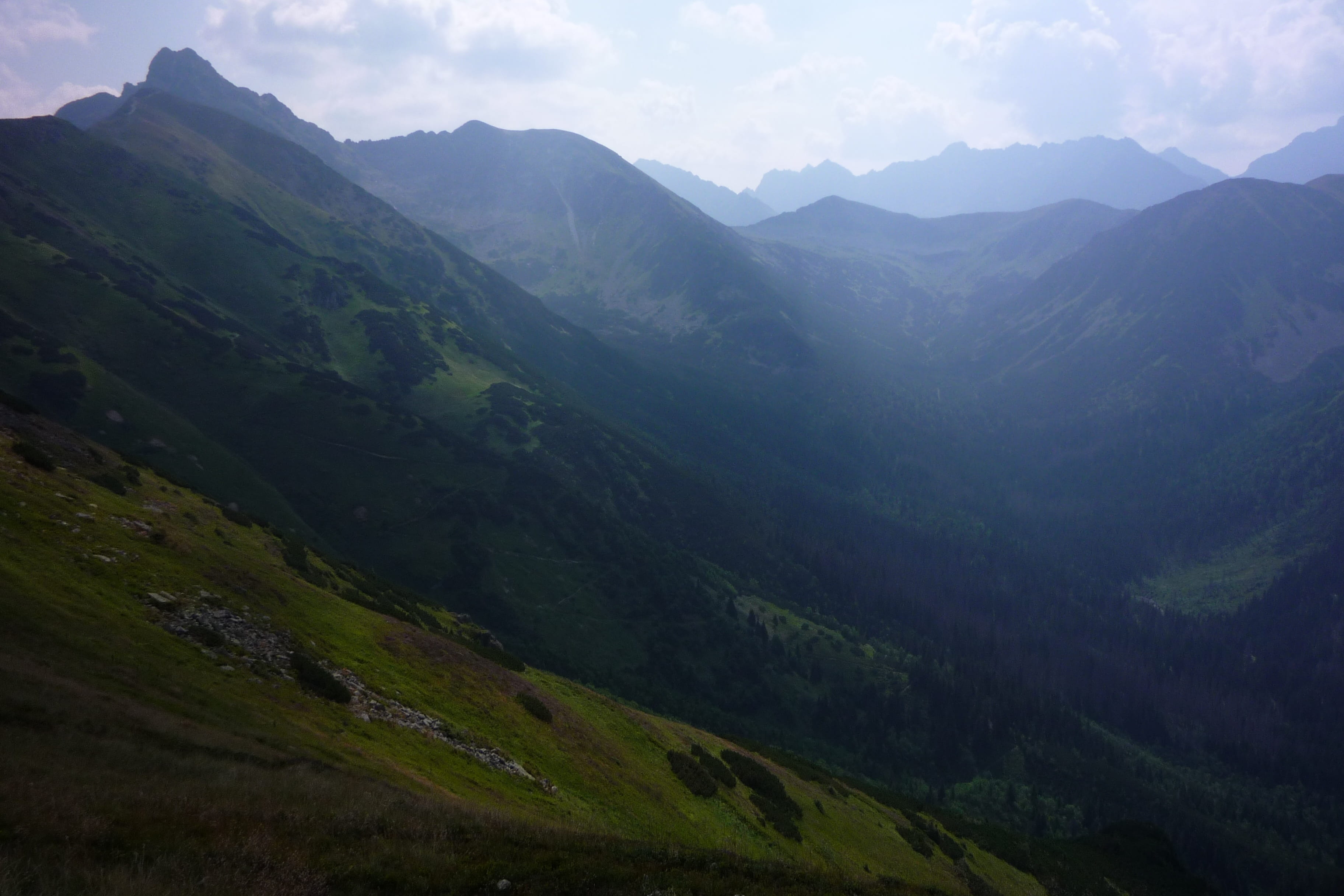 places of interest, polish tatras, plant, day, mountain views, no people, green color, tourism, top, idyllic, environment, poland, sky, remote, mountain peak, HD Wallpaper