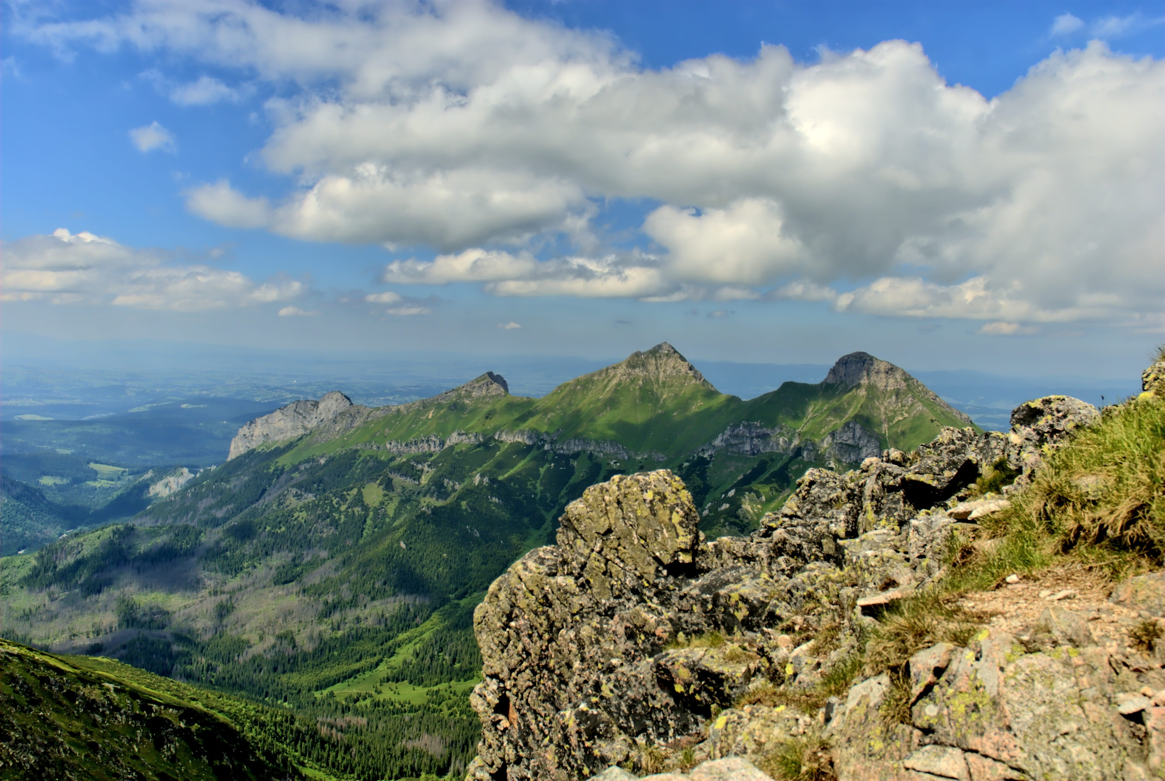 tatry, scenics - nature, 4K, tree, rock, outdoors, tranquility, nature, top view, no people, view, day, green color, slovakia, mountain peak, beauty in nature, HD Wallpaper
