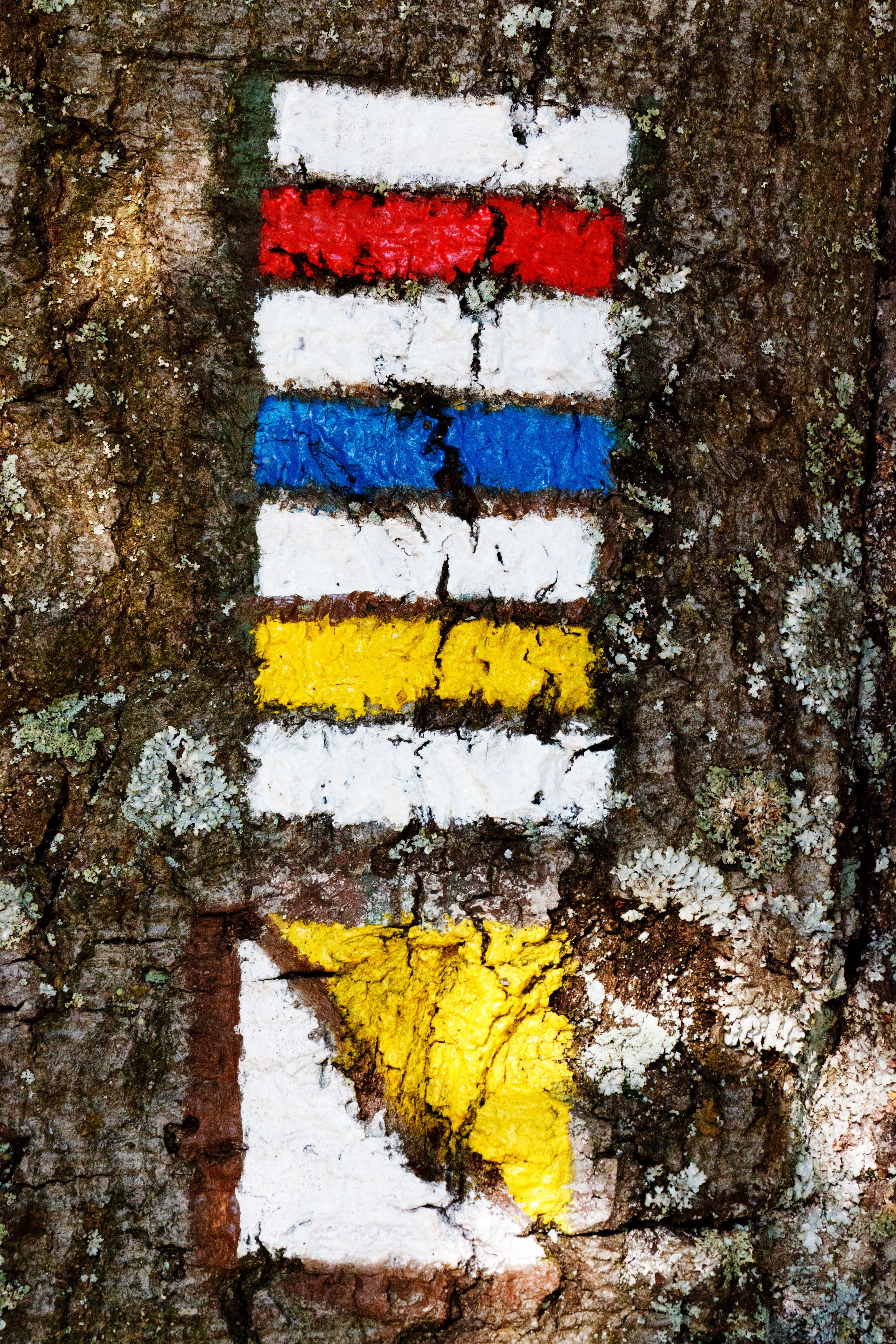 close-up, Guide, day, pattern, striped, bark, white color, full frame, art and craft, trip, built structure, sign, winter, no people, architecture, backgrounds, Phone HD Wallpaper