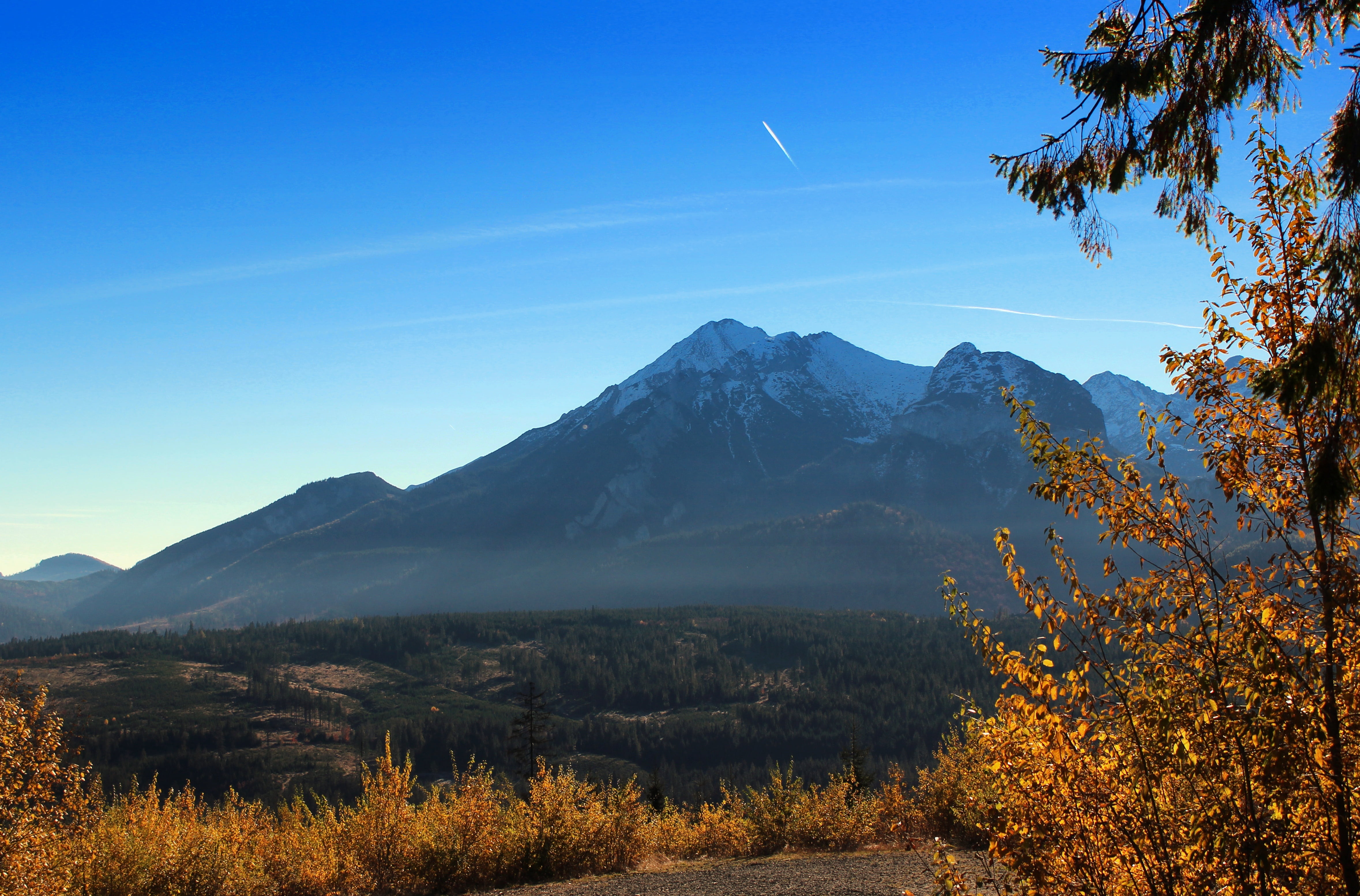forest, day, outdoors, top view, scenics, landscape, sky, non-urban scene, idyllic, sunset, polish tatras, the high tatras, sheep, beauty in nature, 4K, HD Wallpaper