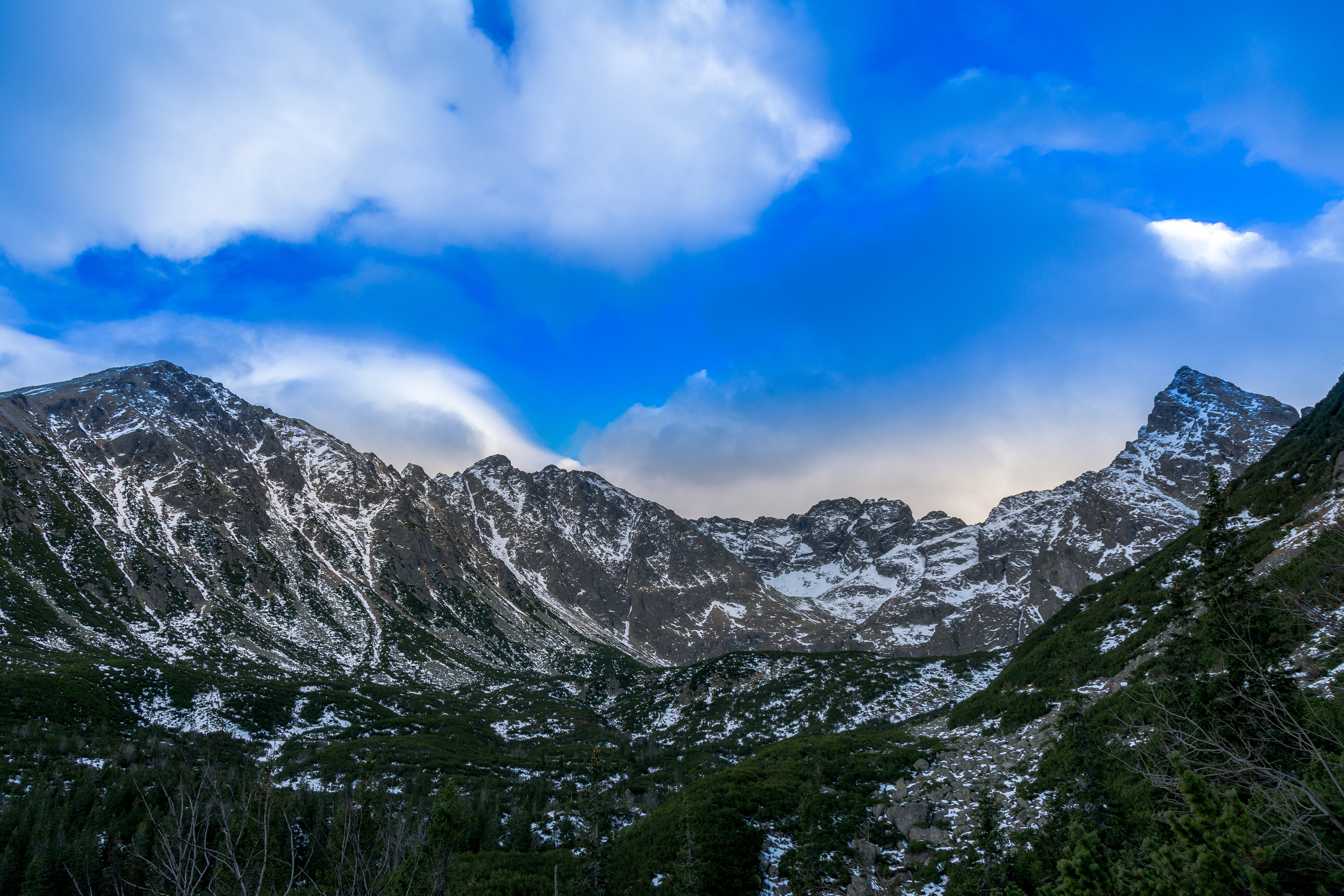 hiking trail, no people, mountain, pine woodland, top view, mountains, tree, tatry, black pond tracked, cloud - sky, places of interest, plant, non-urban scene, HD Wallpaper