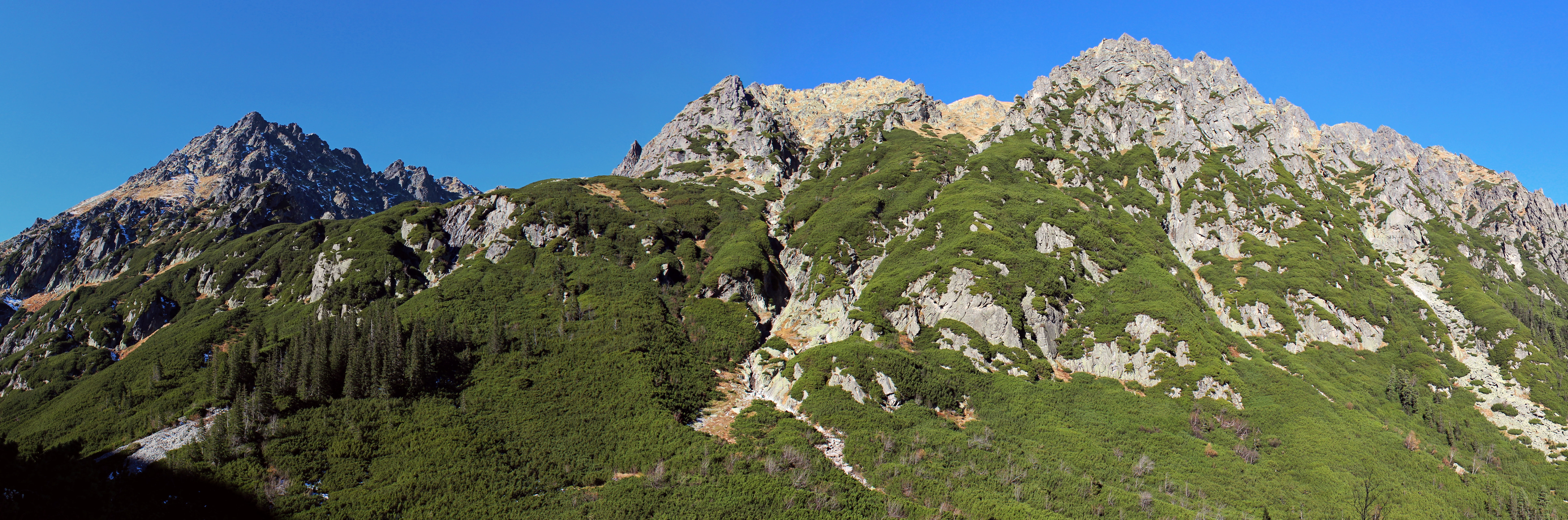 large view, land, clear sky, mountains, pine woodland, pine tree, polish tatras, peace of mind, rock, poland, the high tatras, beauty in nature, hiking, HD Wallpaper