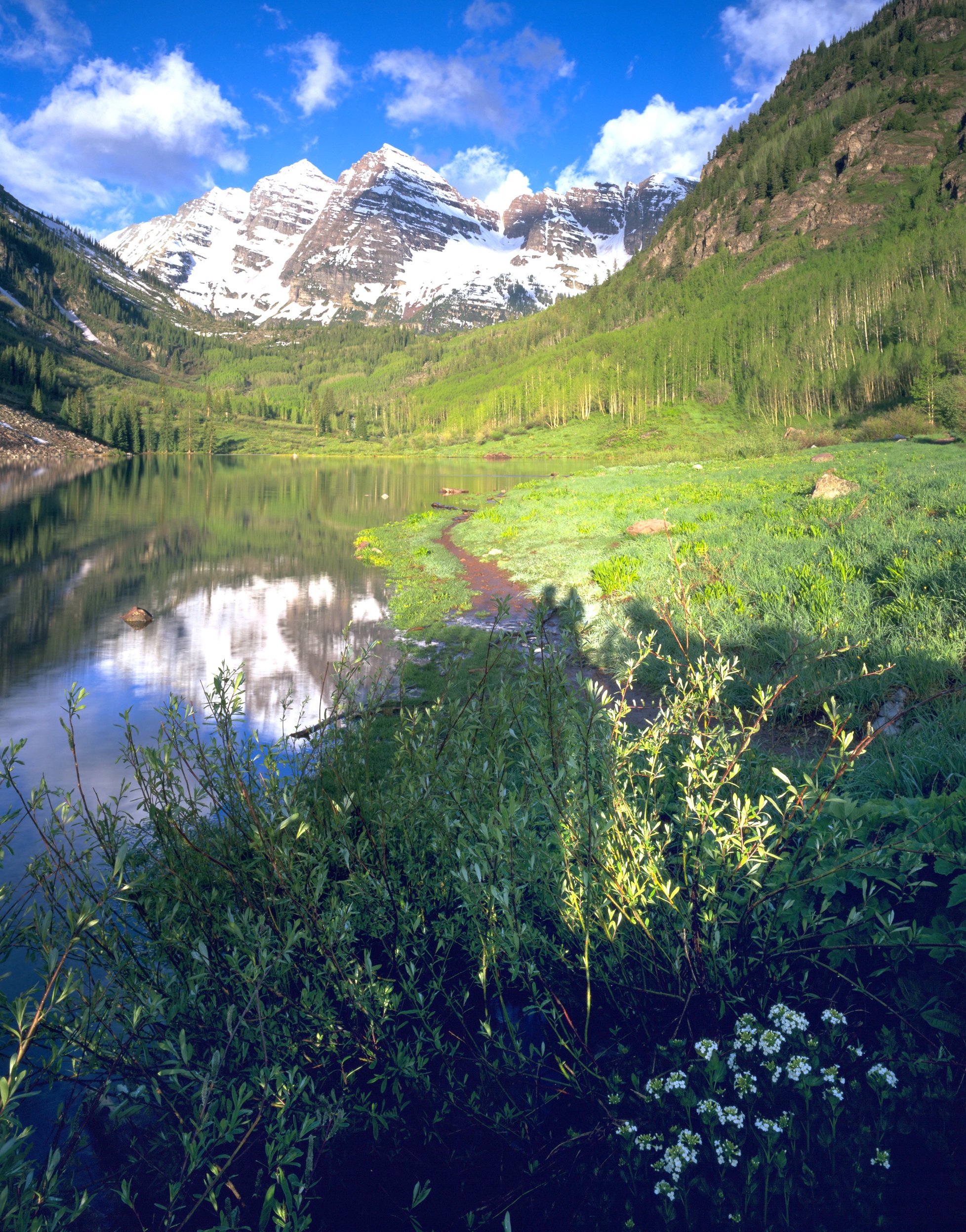 water, non-urban scene, colorado, outdoors, snow, maroon bells, no people, green color, 1080P, scenics - nature, cloud - sky, mountains, day, tree, cold temperature, Phone HD Wallpaper