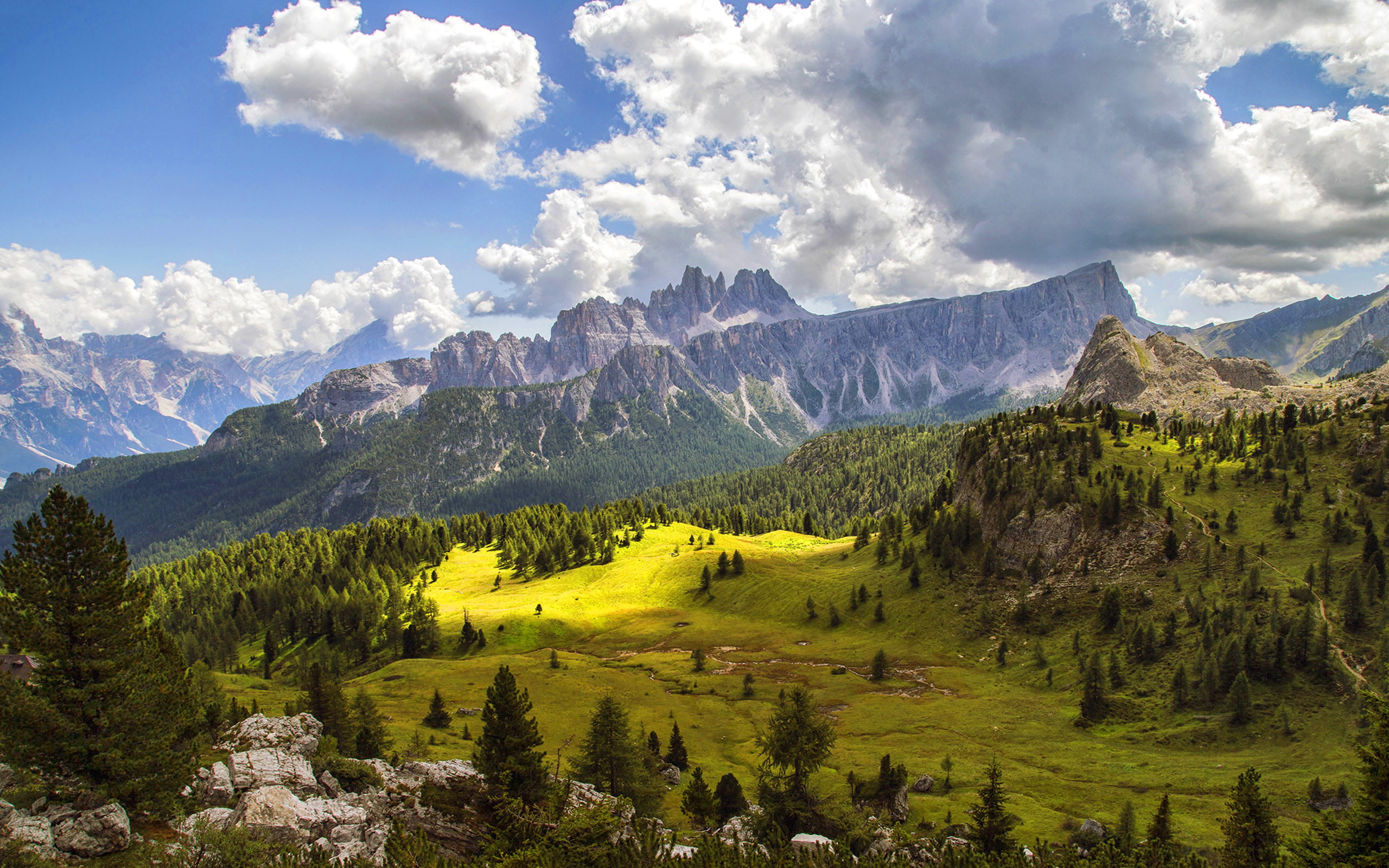 pine, forest, landscape, clouds, green, rocky, peaks, mountain, 2K, hd, meadow, sky, need, trees, HD Wallpaper