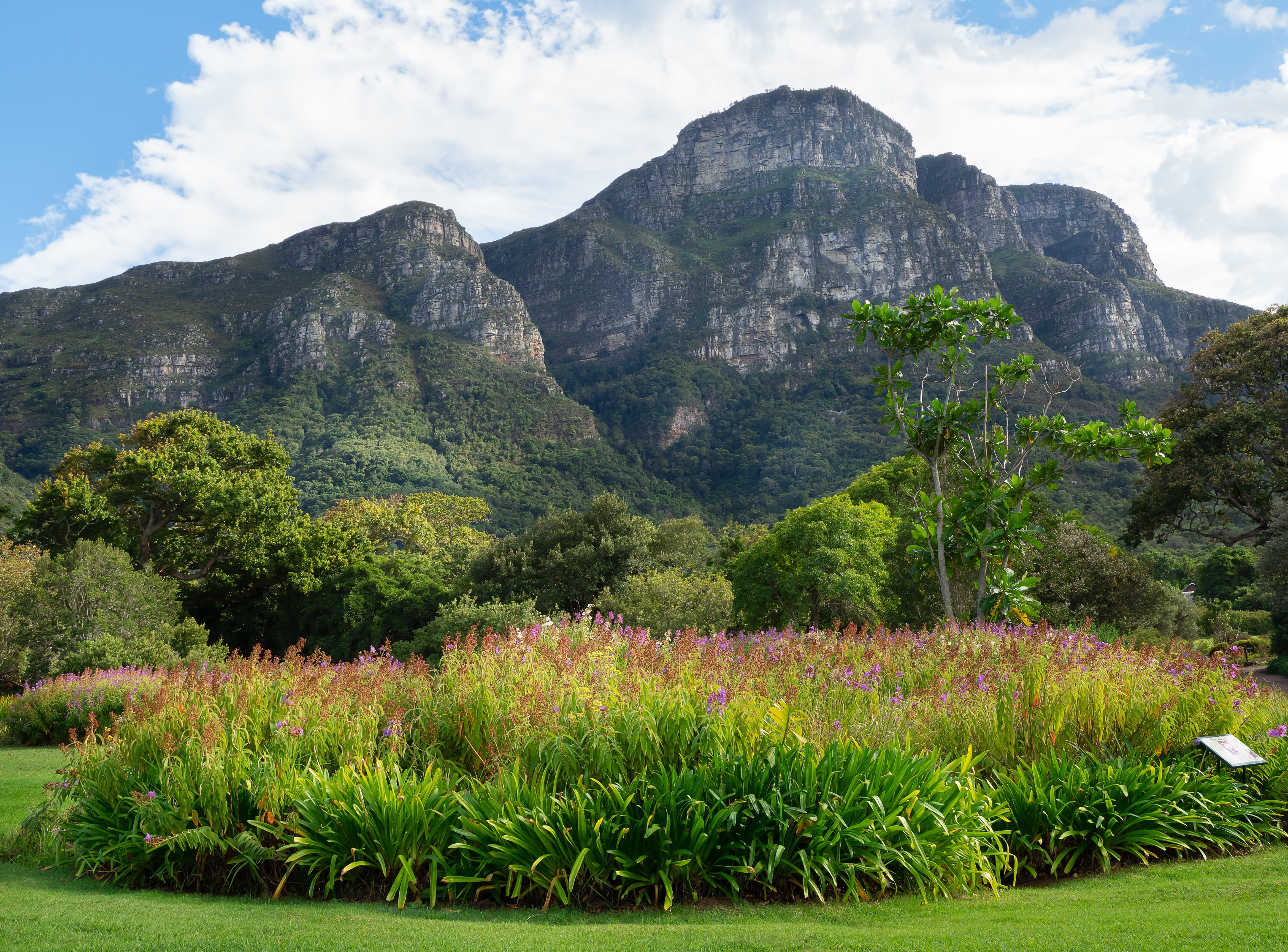 blue, panoramic, cloud - sky, day, mountain peak, no people, park, near, grass, flowers, nature, green color, field, 4K, countryside, tourism, sky, rock, HD Wallpaper