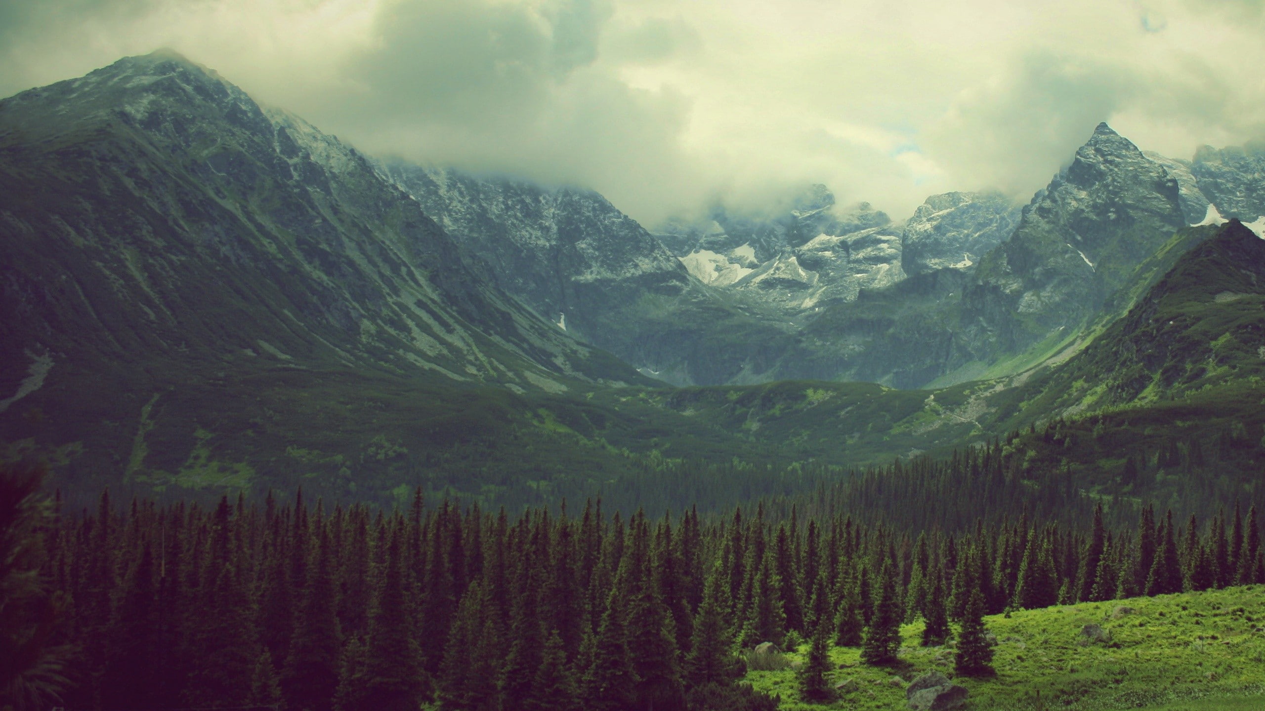 tatry, tatra, pine, trees, nature, green, filters, landscapes, mountains, photo, clouds, 2K, HD Wallpaper