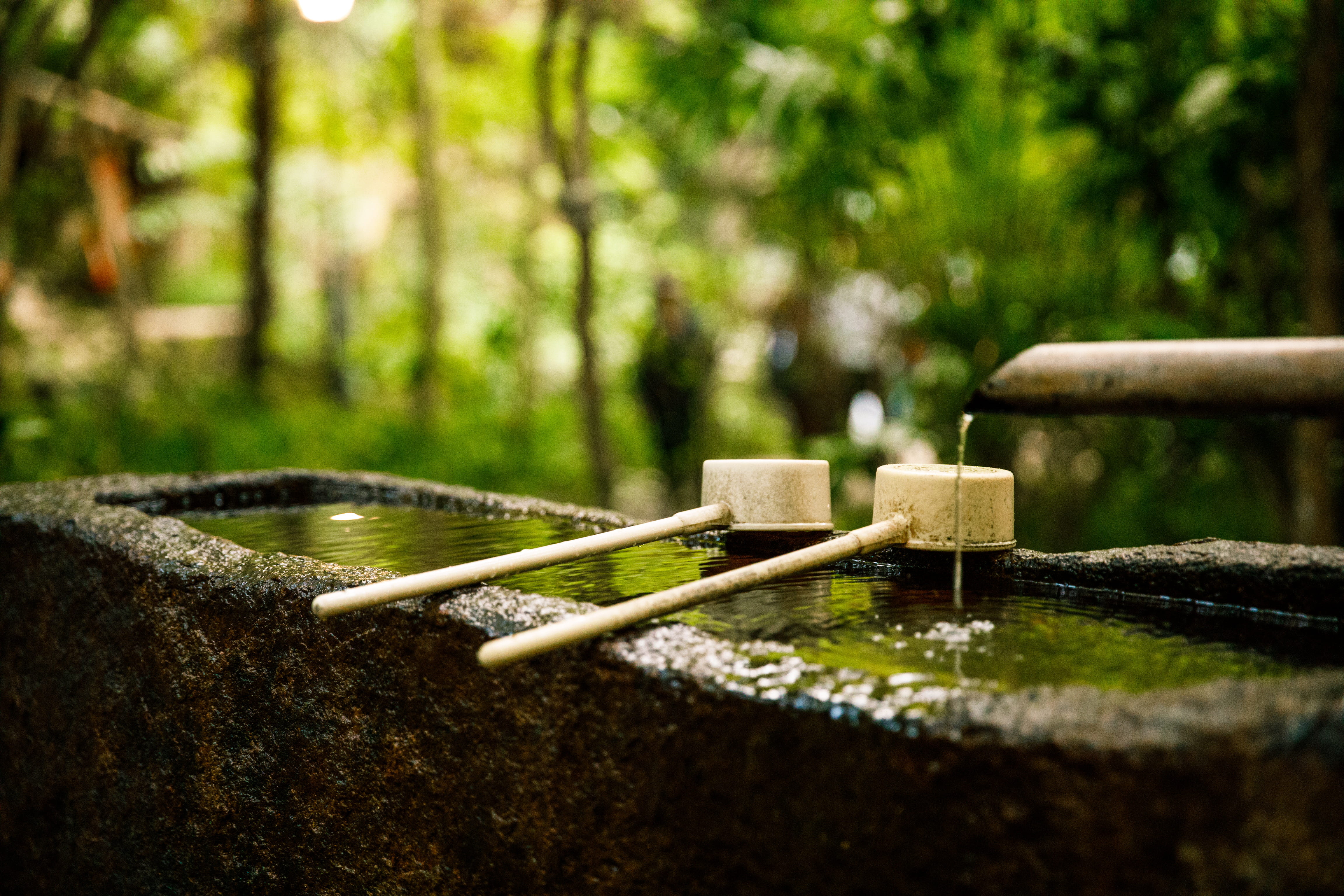 spirituality, plant, nature, woodland, day, fountain, purity, outdoor, outdoors, japanese garden, rock, stream, photography, kitchen utensil, formal garden, HD Wallpaper