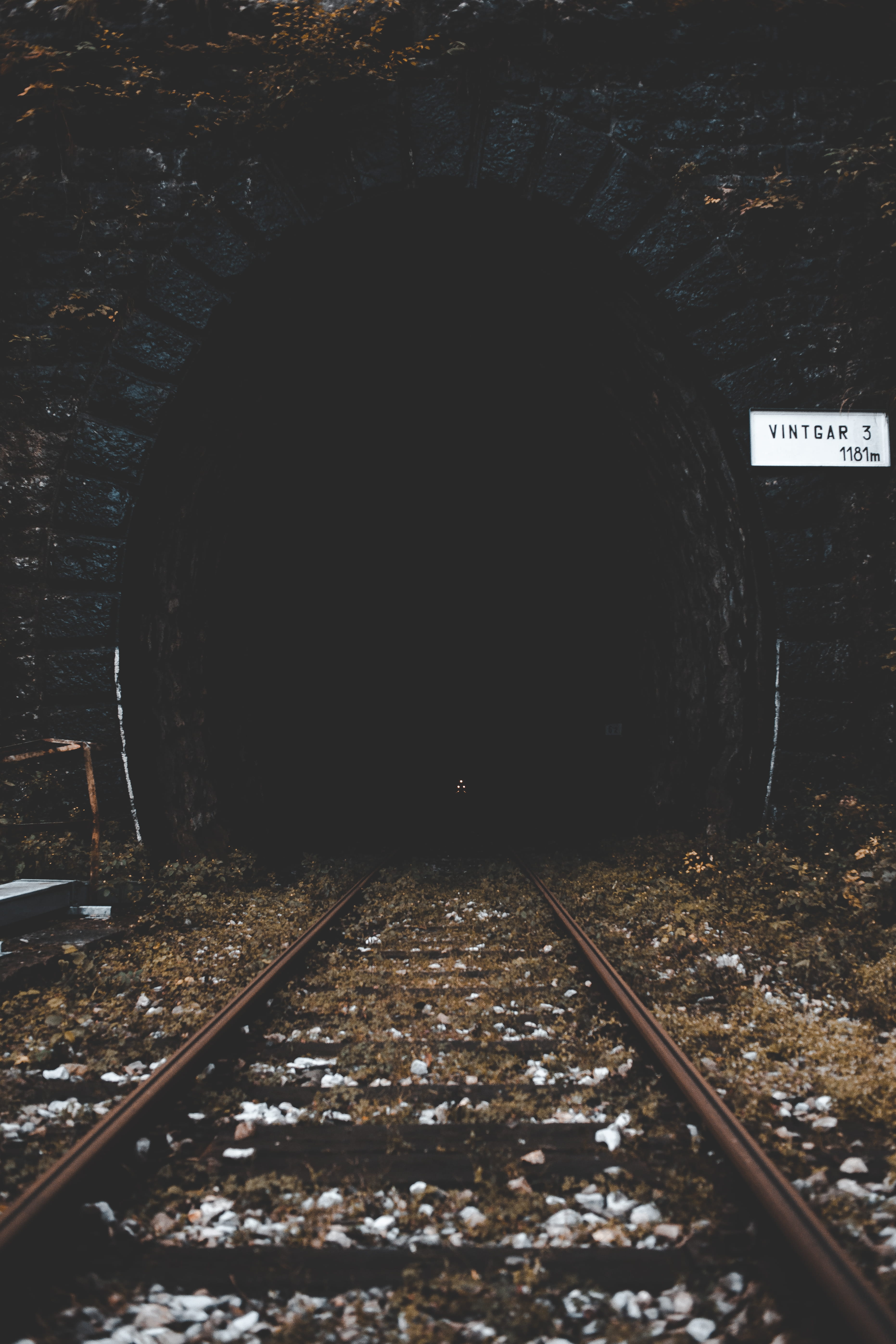 track, bled, architecture, long, tree, tunnel, no people, public transportation, railroad track, vanishing point, outdoors, 5K, mode of transportation, Phone HD Wallpaper
