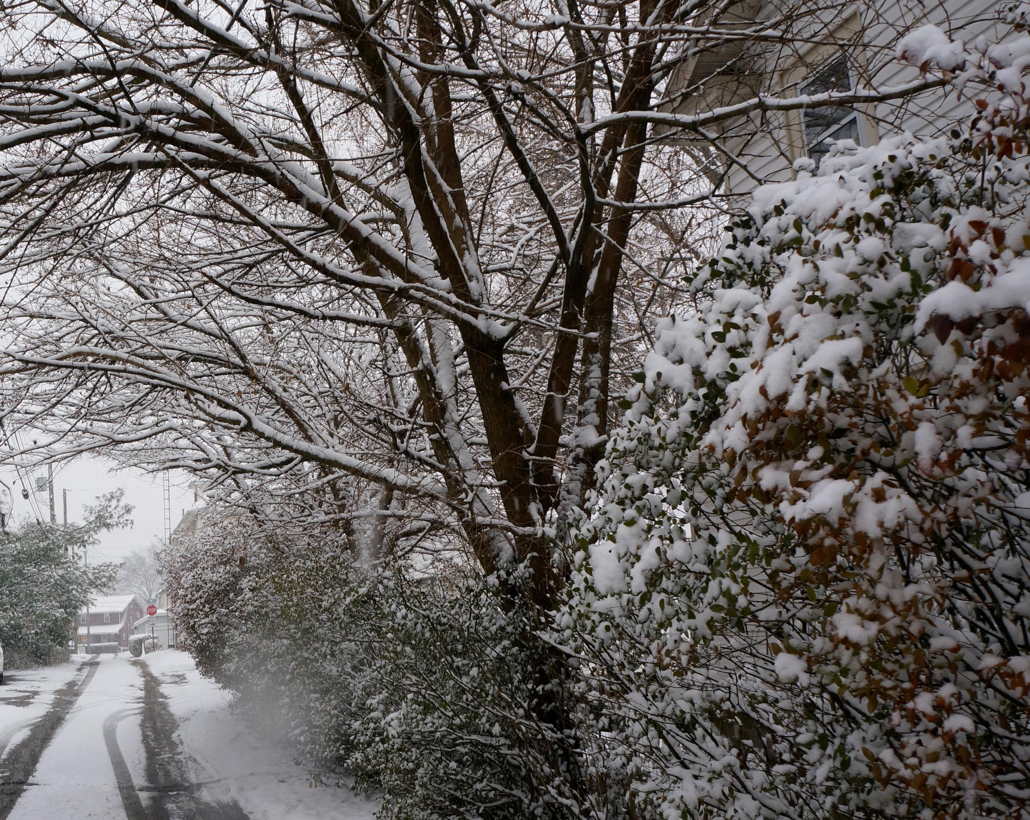 winter-time, winter-storm, 2K, snowstorm, winter-walkway, winter, walkway, HD Wallpaper