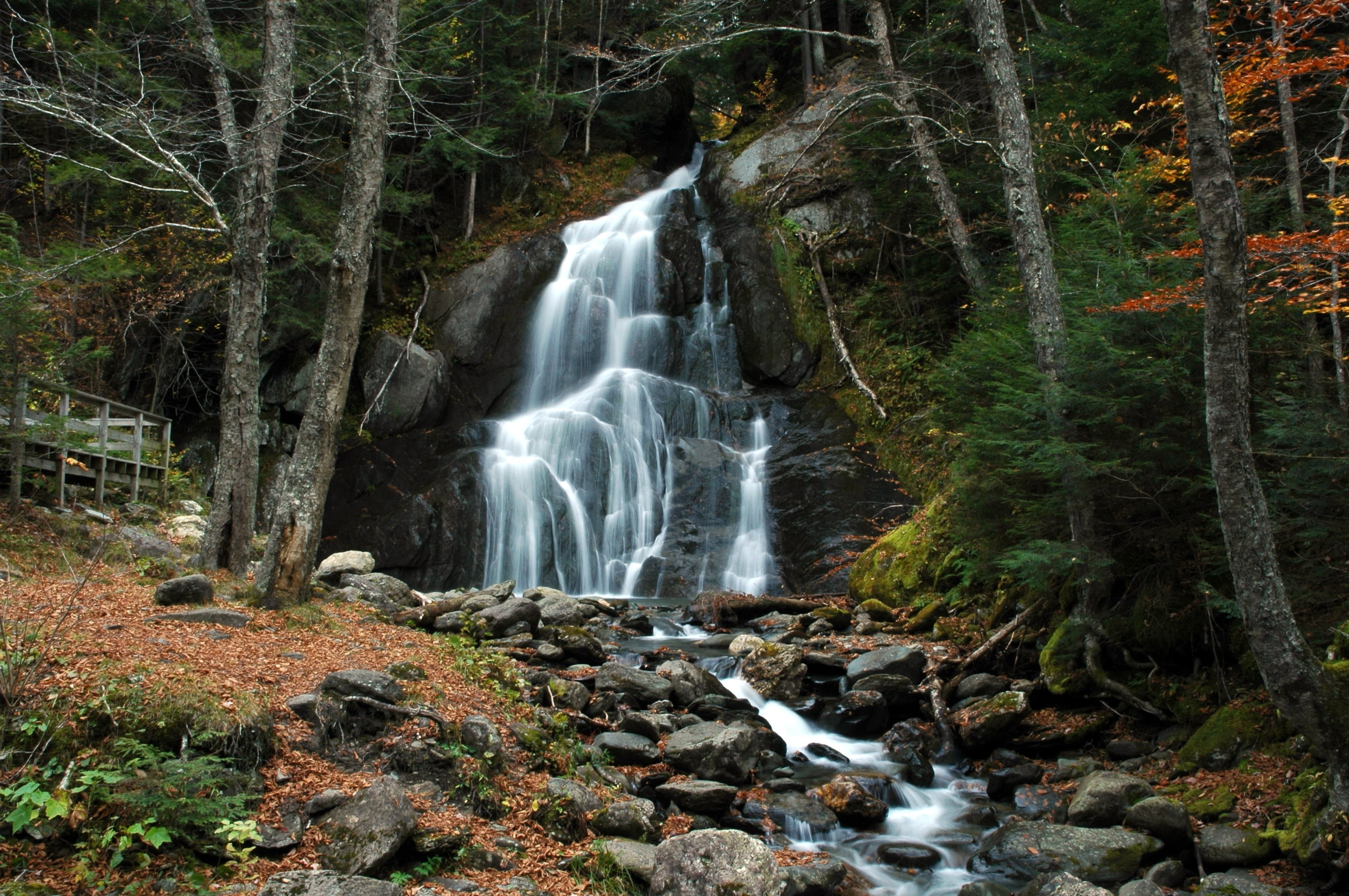 2K, nature forest trees vermont, HD Wallpaper