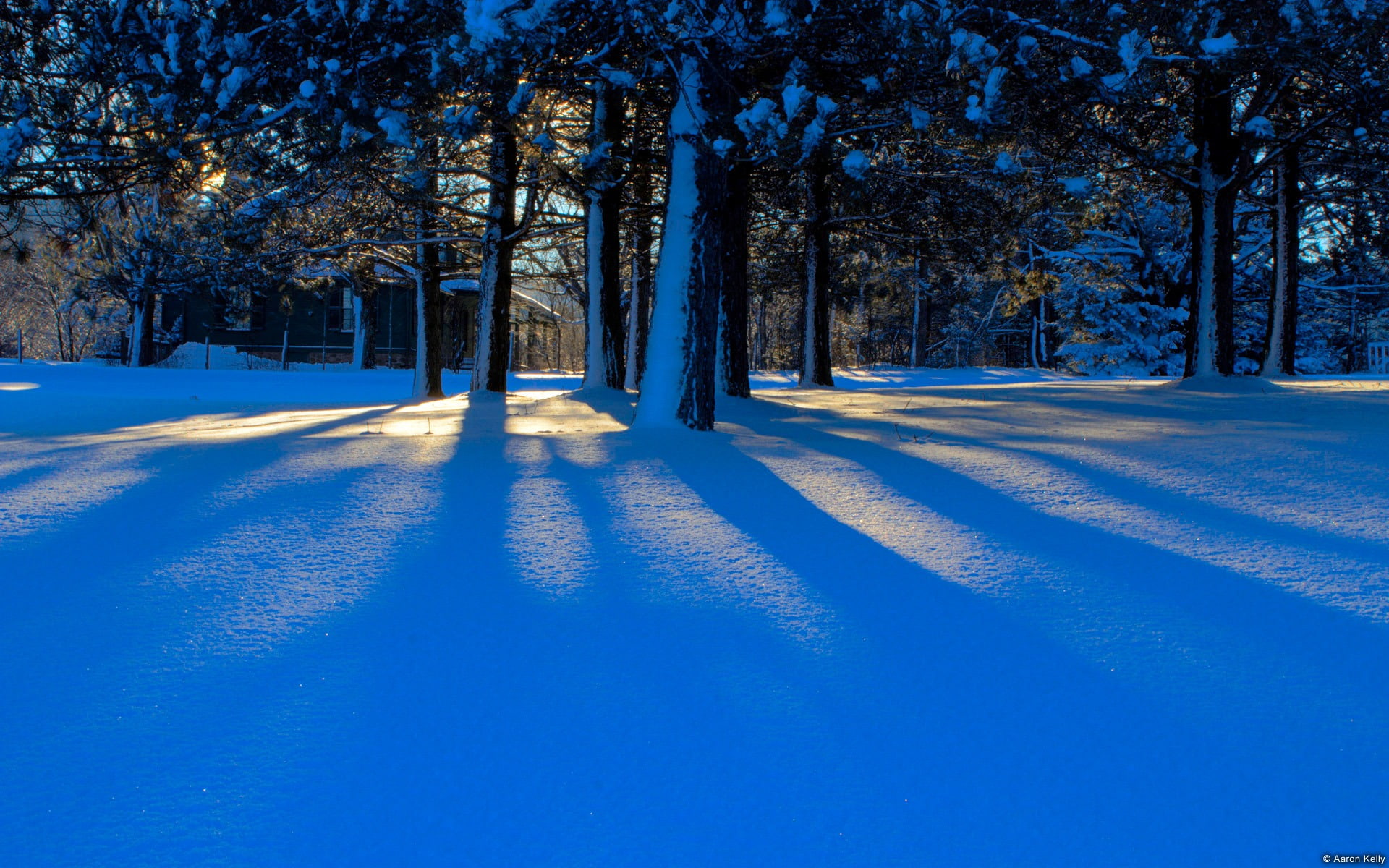 blue, white color, loaf, snow, hd, cold temperature, wooden, land, scenics - nature, day, outdoors, house, winter, treelined, brown, tranquility, no people, HD Wallpaper
