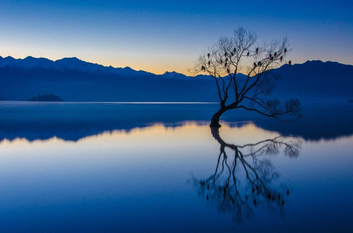tree, tranquility, birds, scenics - nature, trees, mountain range, cloud - sky, tranquil scene, calm, blue, mountain, New Zealand, sky, landscape, environment, HD Wallpaper