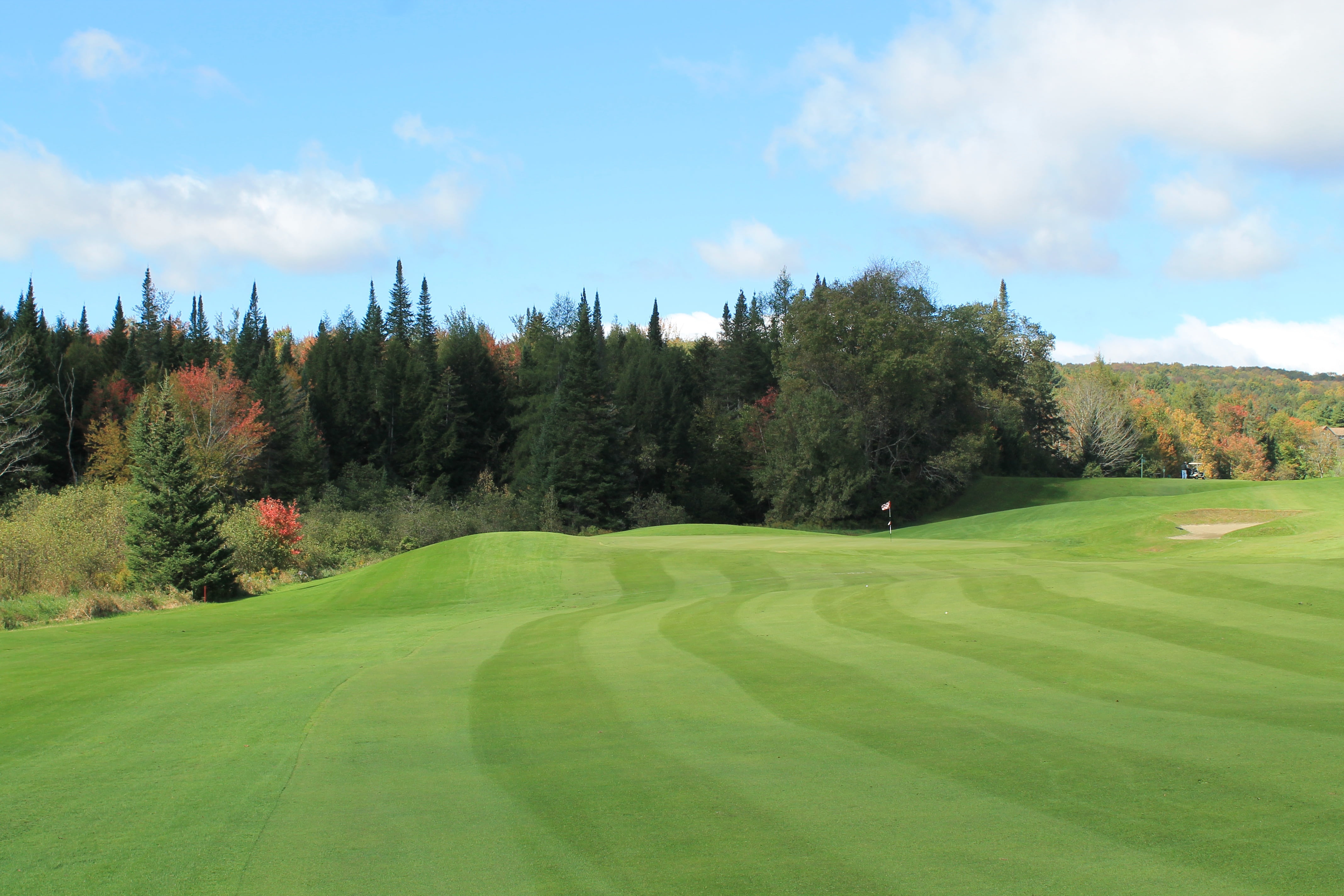golf Course, cloud - sky, tree, summer, sport, beauty in nature, outdoors, green - golf course, vermont, trees, grass, sky, day, field, golf, non-urban scene, HD Wallpaper
