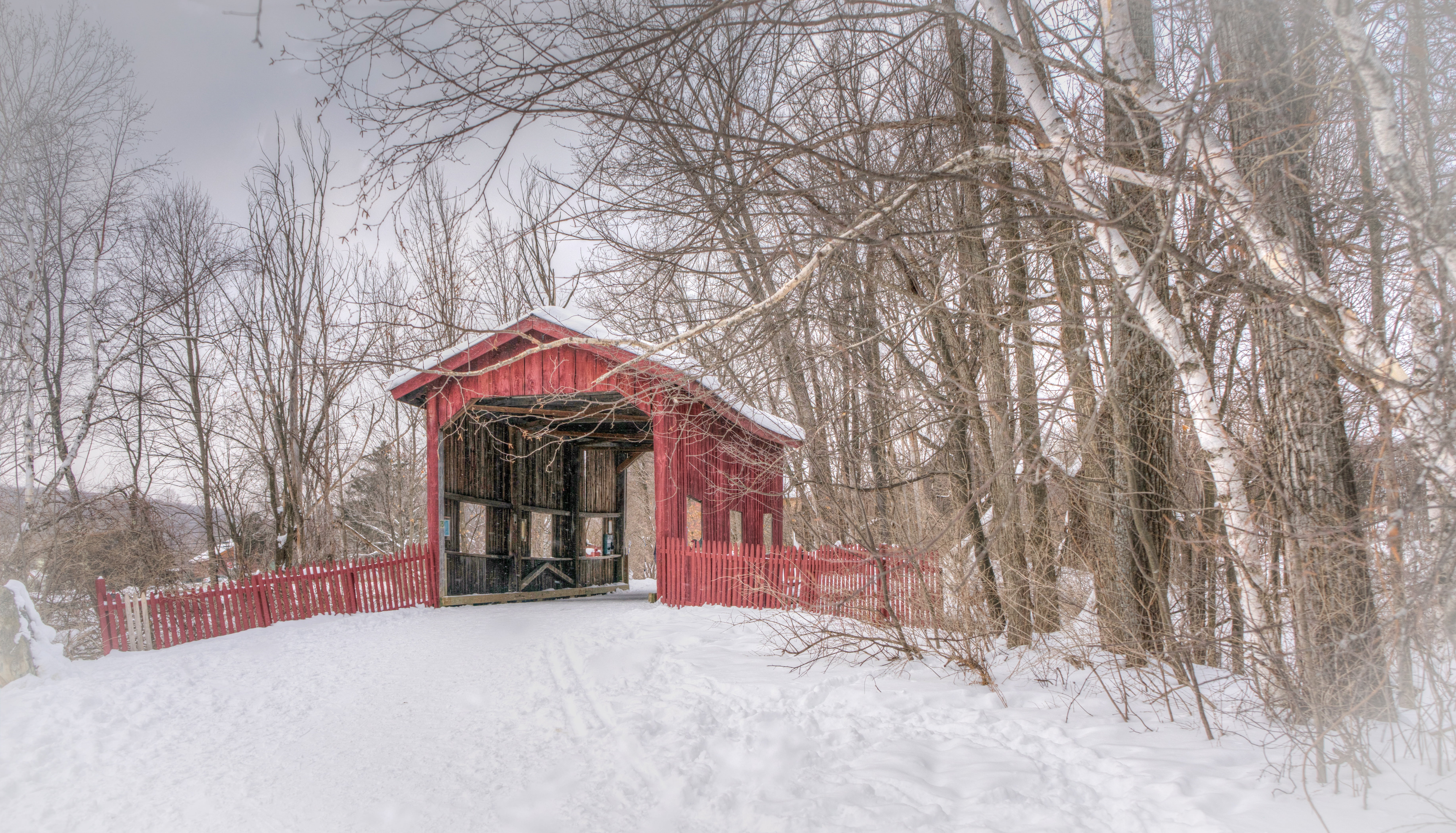 weather, plant, snow, autumn, winter, cold - Temperature, outdoors, snowing, park, built structure, tranquility, architecture, day, nature, red, white, HD Wallpaper