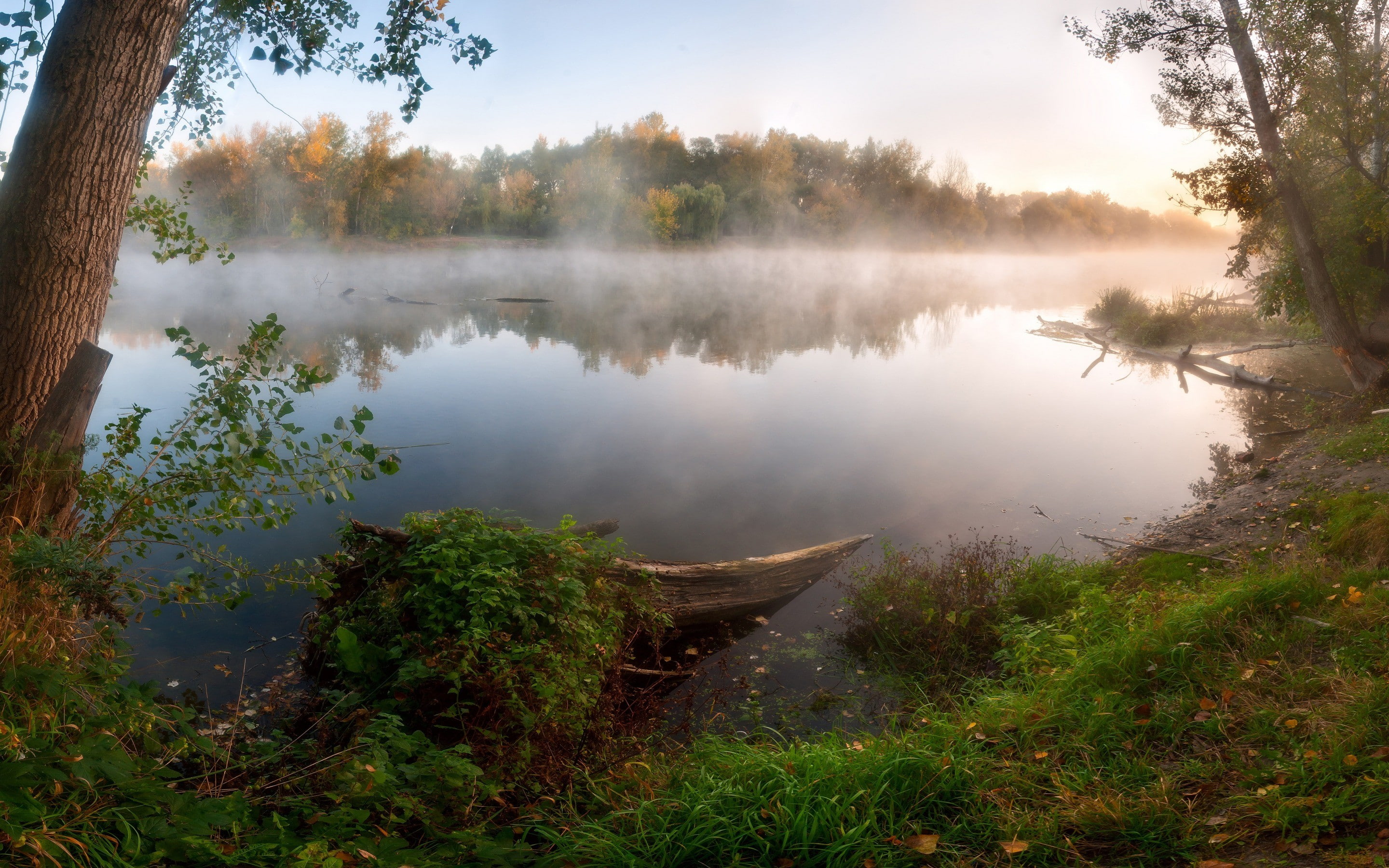 transportation, scenics - nature, fog, tree, beauty in nature, mist, grass, forest, sky, nature, outdoors, rowboat, nautical vessel, day, non-urban scene, HD Wallpaper