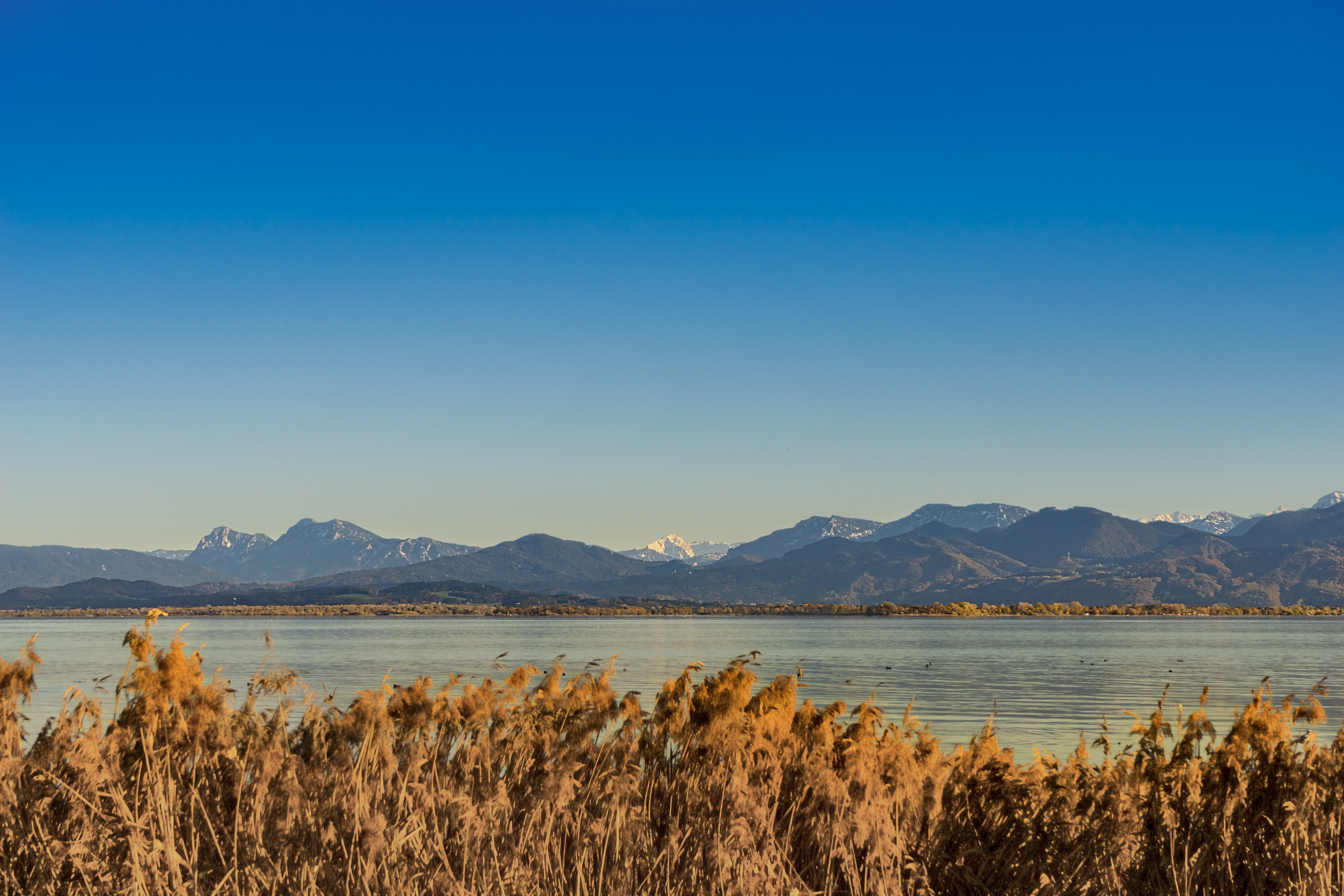 copy space, sky, salt flat, shipping, clear sky, scenics - nature, day, lake, Bavaria, ship, View, non-urban scene, blue, tranquility, nature, woman chiemsee, HD Wallpaper