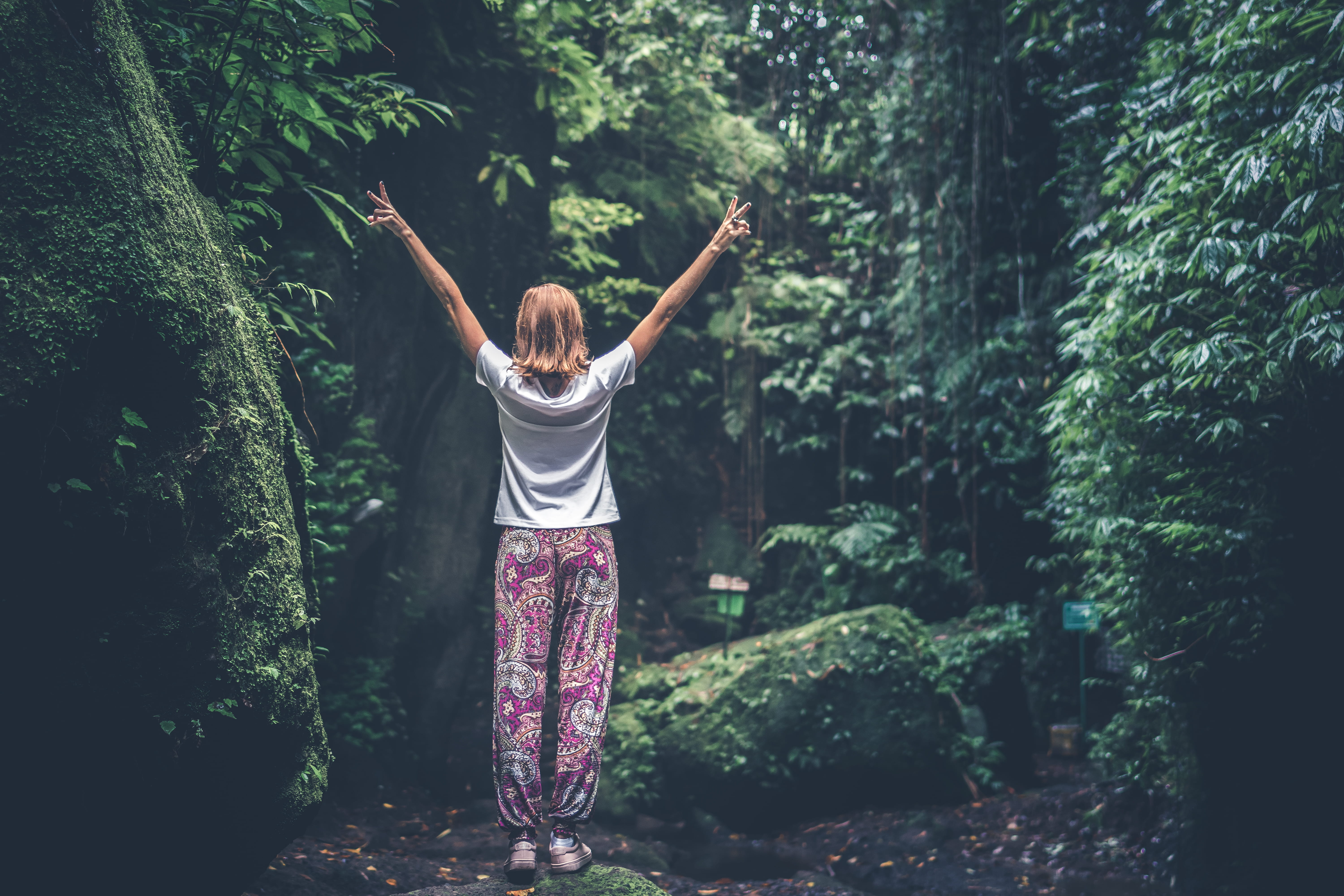 raising, daylight, fashion, leisure activity, view, hair, vacation, one person, hairstyle, child, lady, travel, trip, freedom, adult, female, rainforest, HD Wallpaper