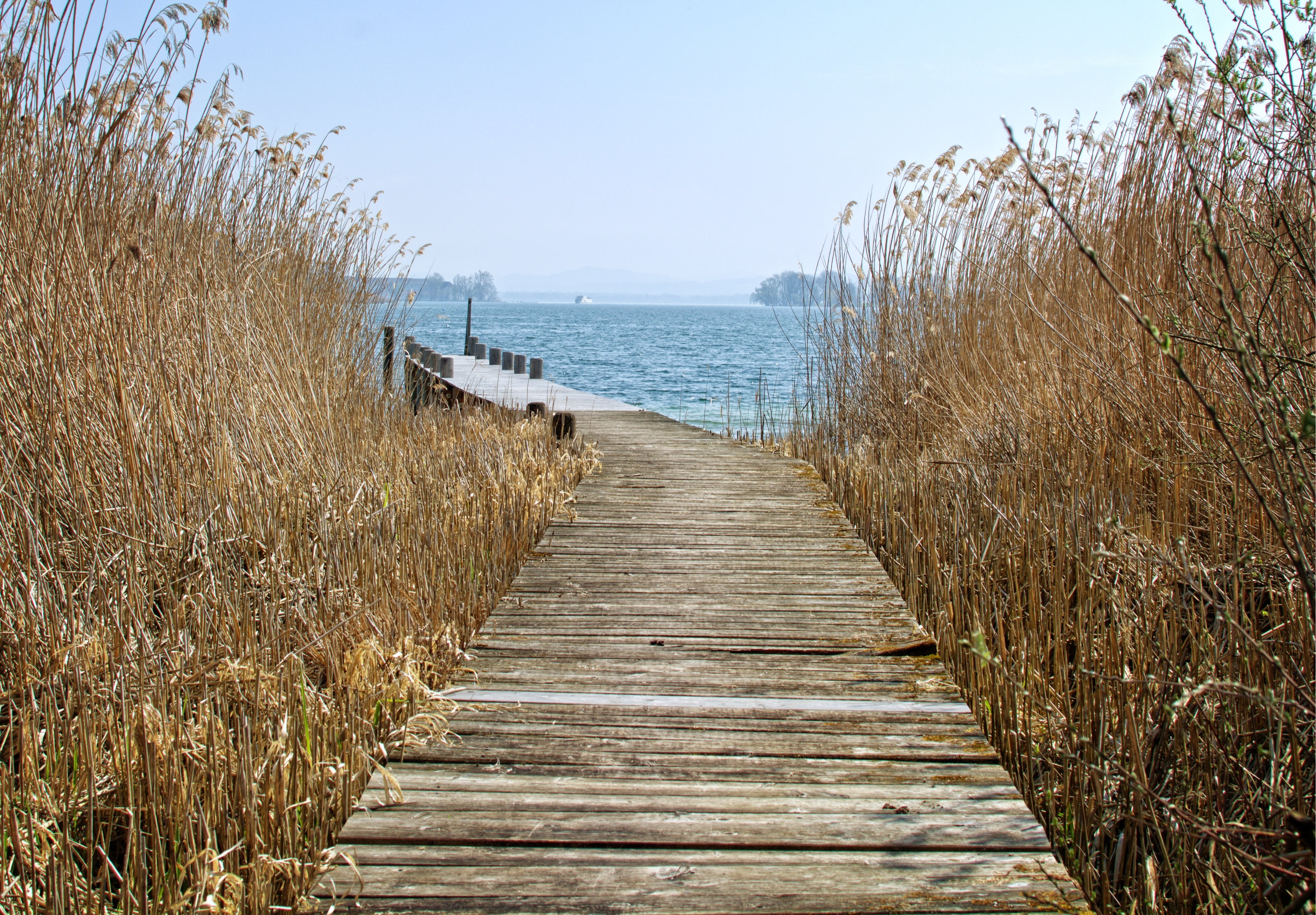 footpath, tranquility, outdoors, lake, no people, horizon over water, vision, landscape, plant, nature, wood, chiemsee, web, wooden post, scenics - nature, HD Wallpaper