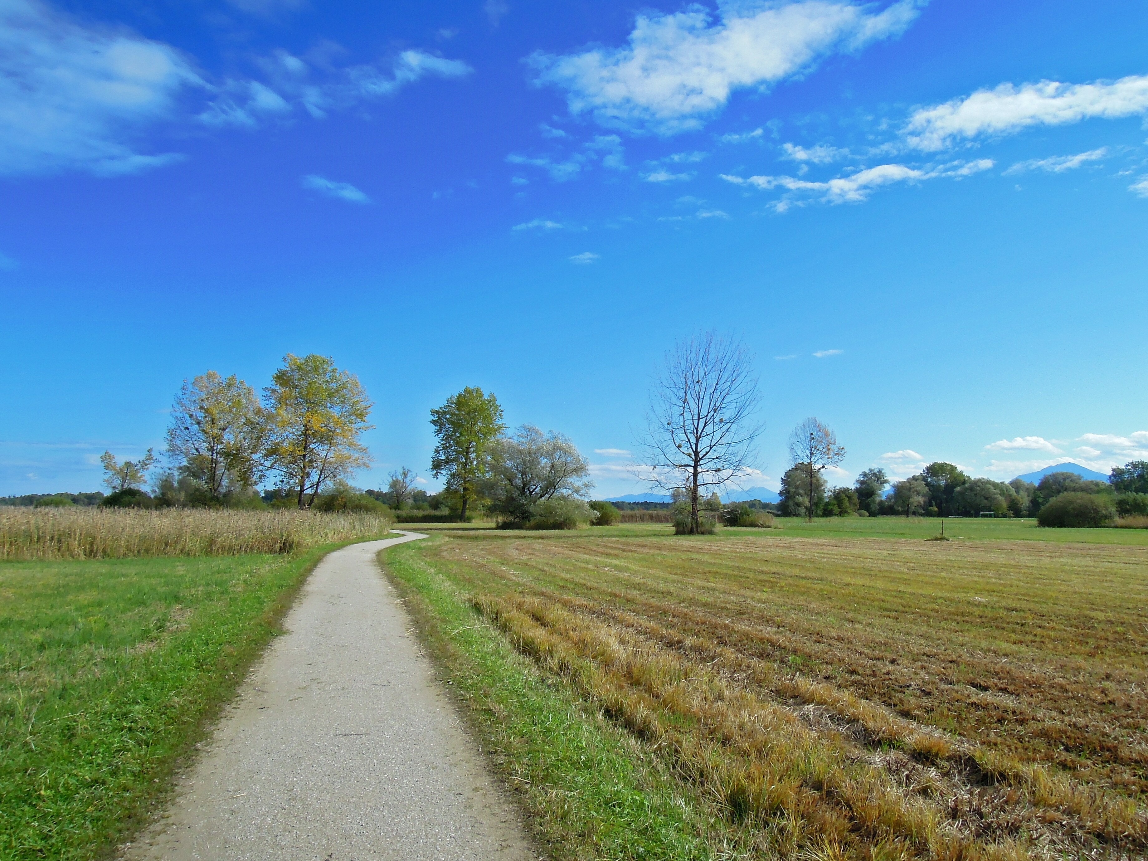 rural scene, no people, autumn, tranquil scene, landscape, away, blue, scenics - nature, day, mood, outdoors, grass, clouds, tranquility, nature, growth, HD Wallpaper