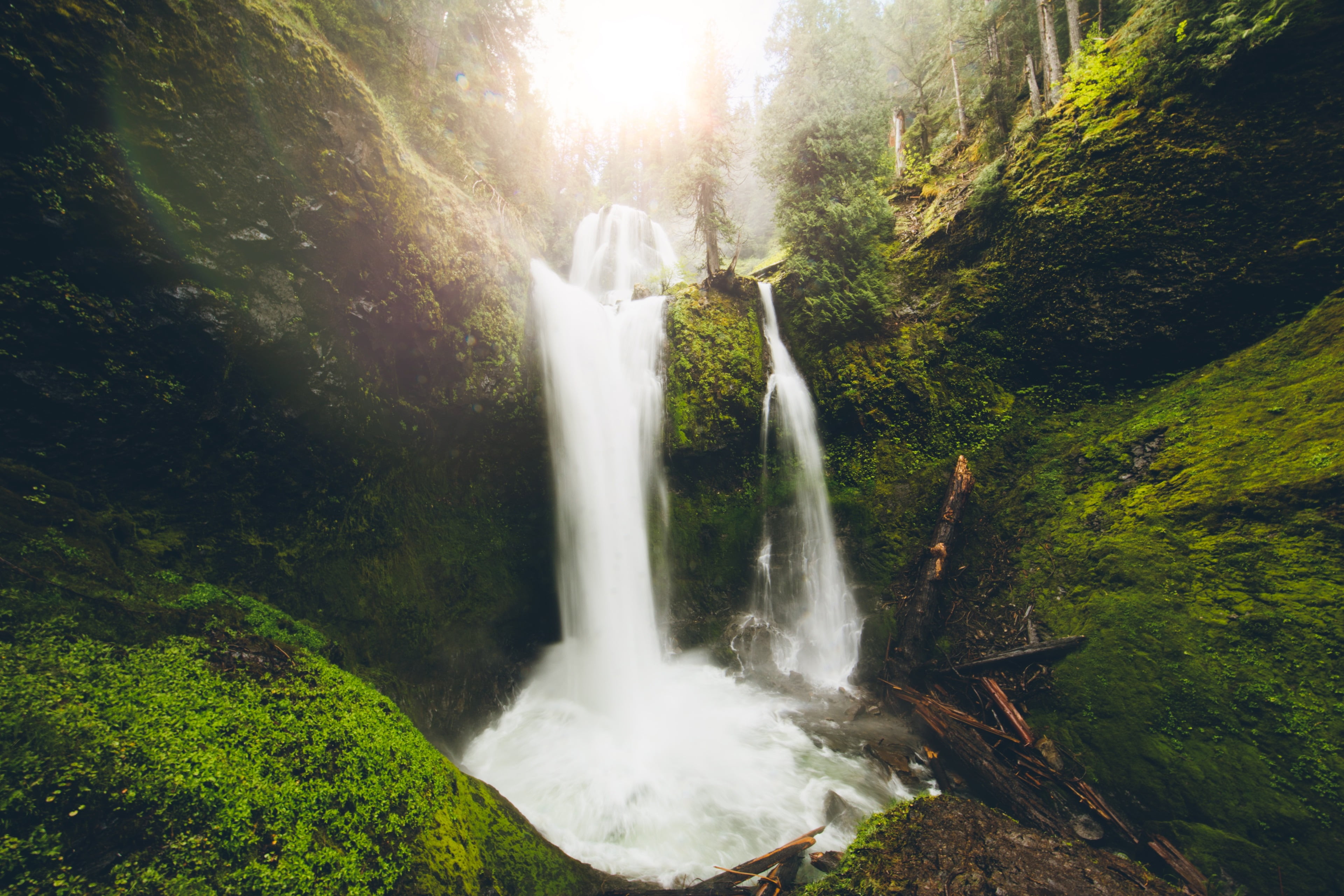 forest, beauty in nature, outdoors, waterfall, rock - object, falling water, blurred motion, 4K, growth, rainforest, solid, rock, water, plant, day, green color, HD Wallpaper