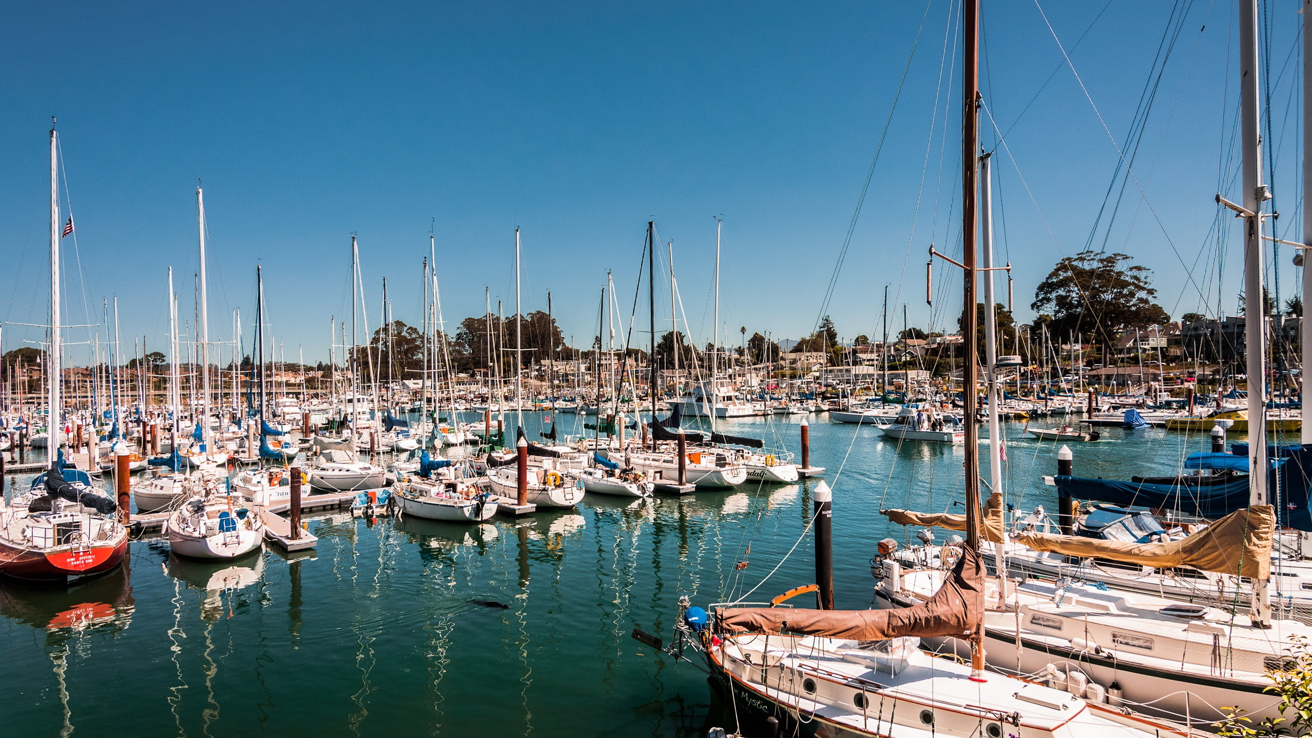 Bay, Boats, ships, Sail, Cruz, 2K, USA, Yacht, santa, Ship, California, HD Wallpaper