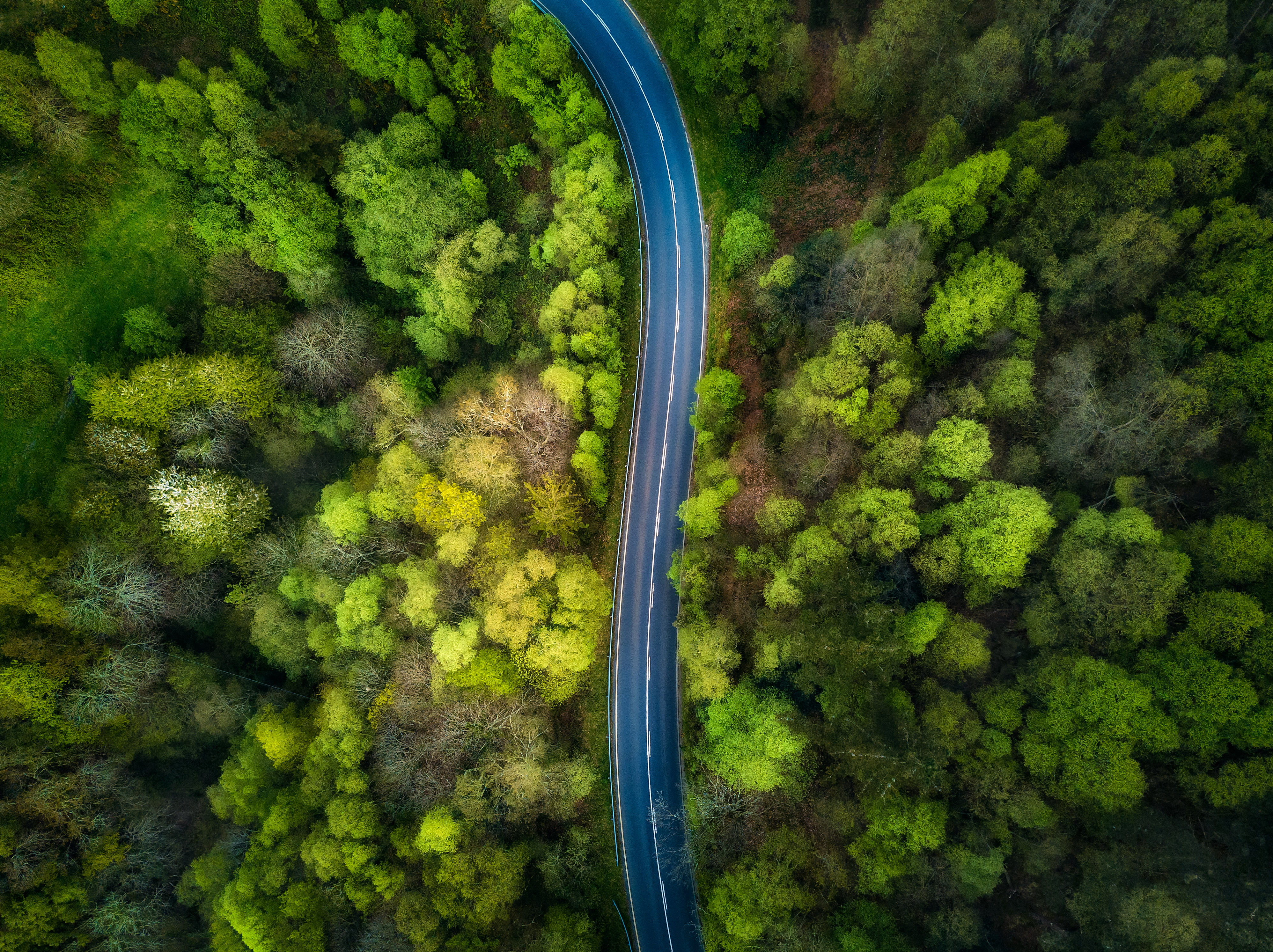 4K, highway, aerial, landscape, street, traffic, colors, curve, daytime, drone, greens, nature, areal, trees, view, forest, road, HD Wallpaper
