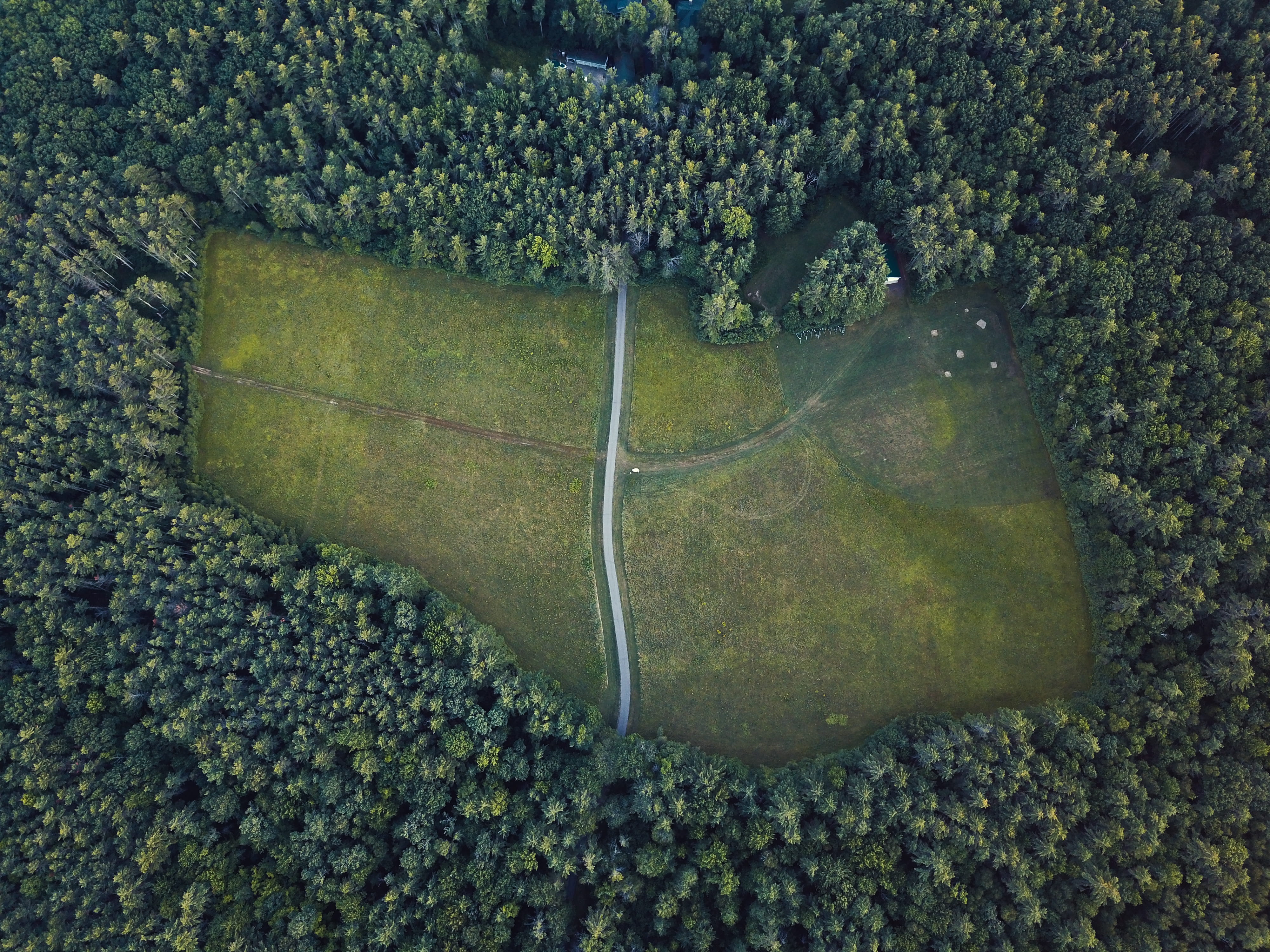 grass, nature, aerial view, trees, landscape, drone, wild, green color, foliage, tranquil scene, areal, scenics - nature, drone view, tree, high, leafed, HD Wallpaper