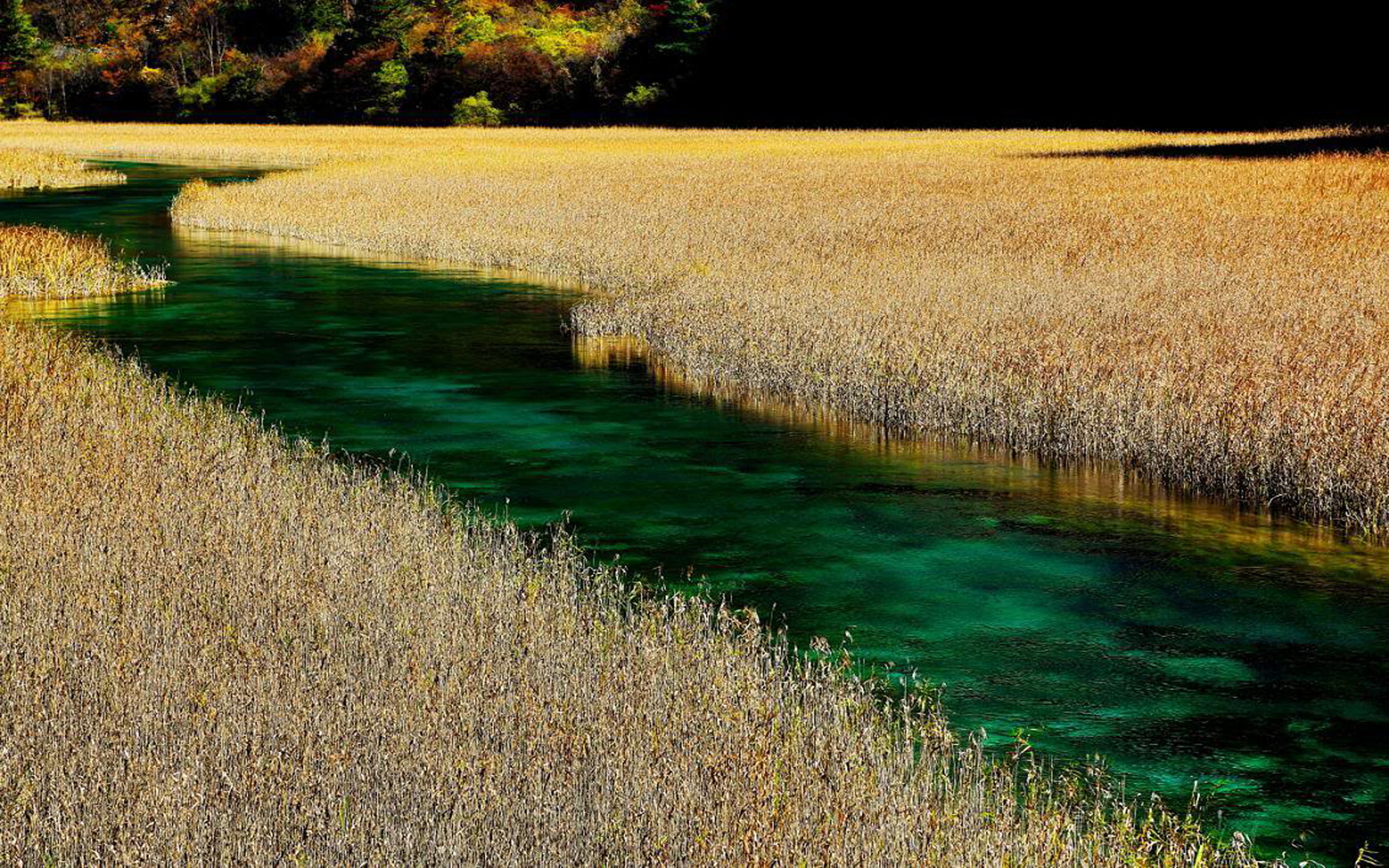 china, green, rice, turquoise, 2K, jiuzhaigou, hd, fields, nature, reserve, landscape, clear, river, HD Wallpaper