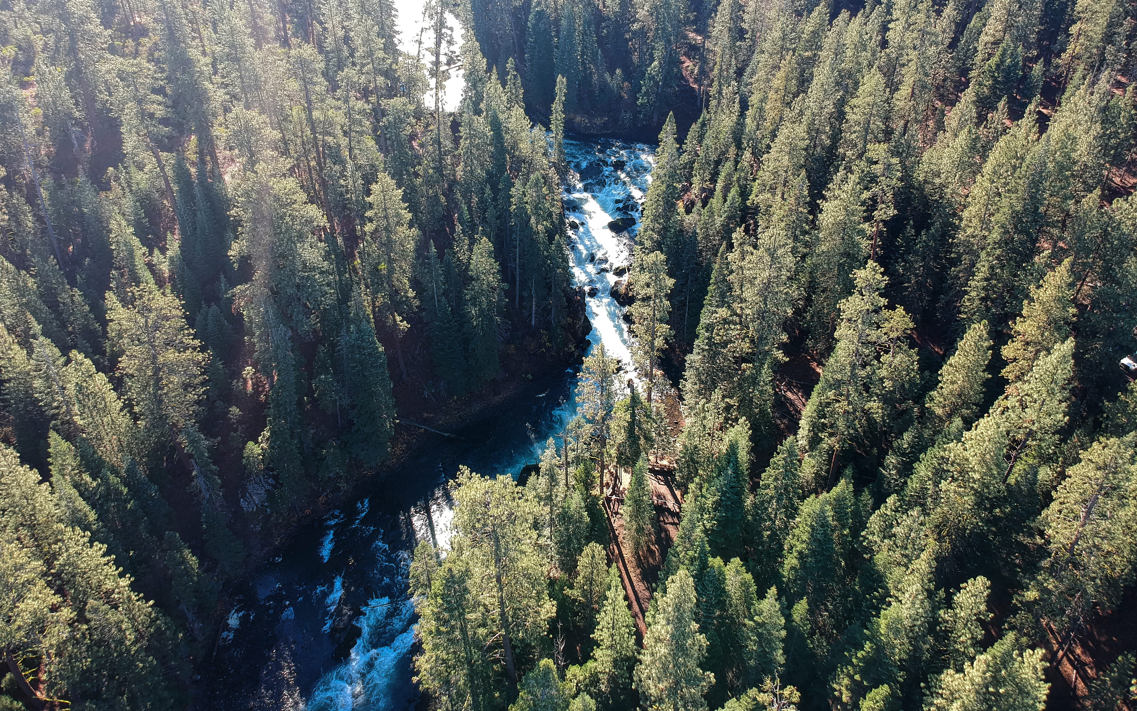 pine tree, flowing water, tall, photography, growth, woodland, green color, land, top view, near, tranquility, drone, scenics - nature, beauty in nature, HD Wallpaper