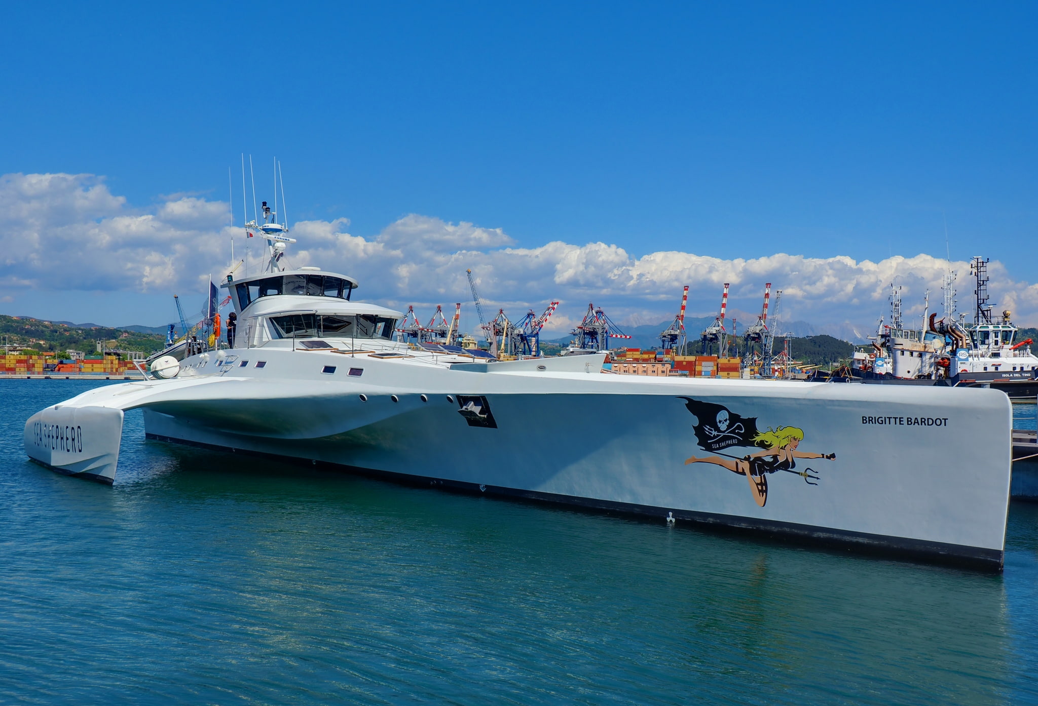 1080P, BRIGITTE BARDOT, catamaran, harbour, yacht, HD Wallpaper