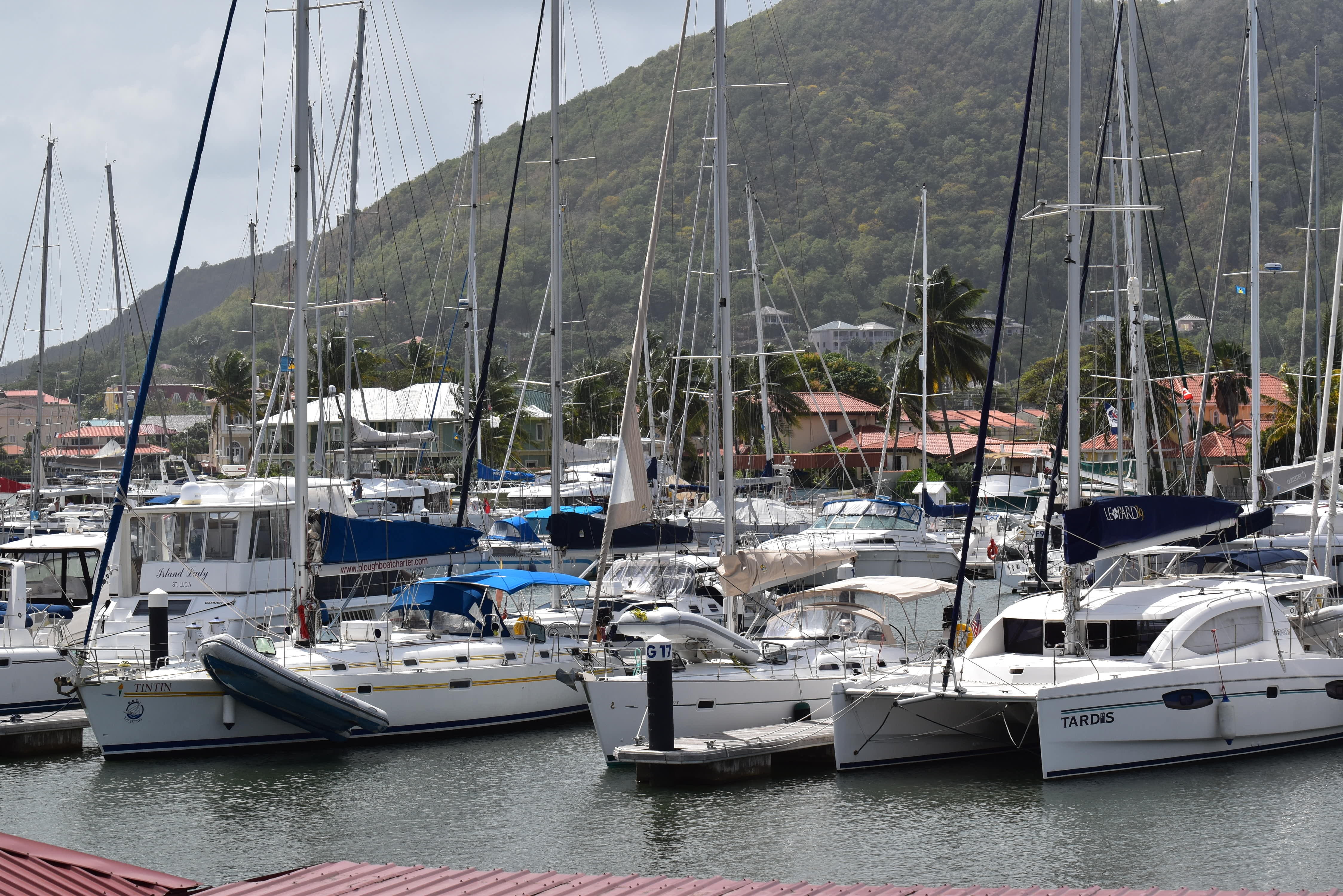 luxury, pole, day, sea, dock, mode of transportation, catamaran, anchored, outdoors, no people, pier, sailboat, sail, nautical vessel, marina, sun, harbor, HD Wallpaper